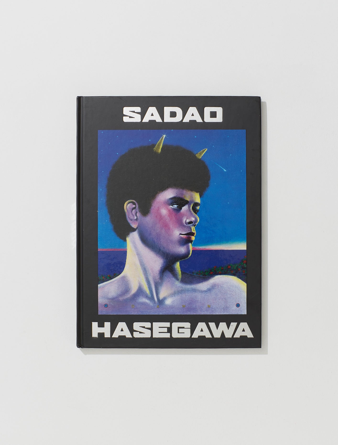 Sadao Hasegawa