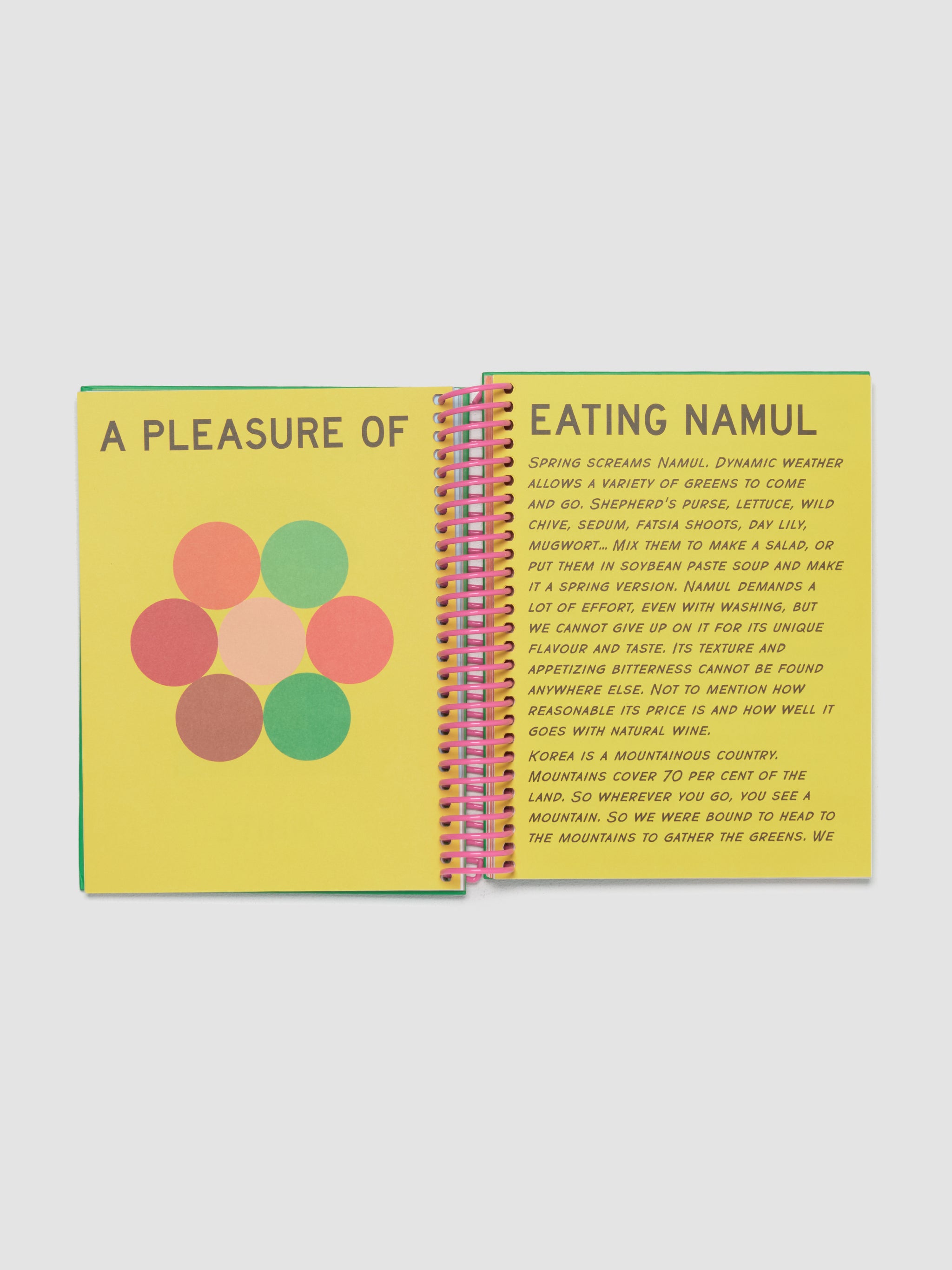 Poets & Punks ANJU & BANJU Korean Tapas Recipes and Story Book