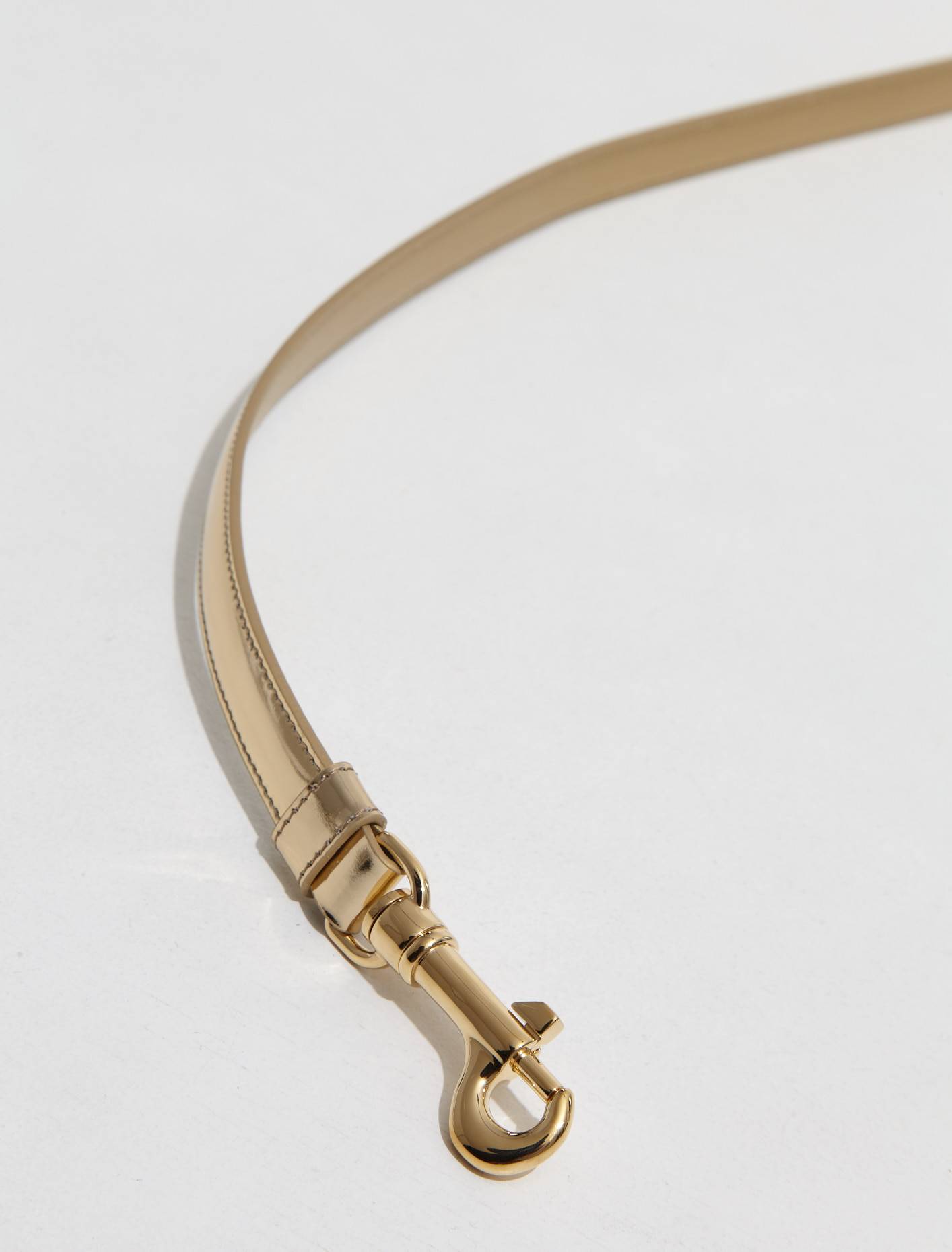 Brushed Leather Pet Leash in Platinum