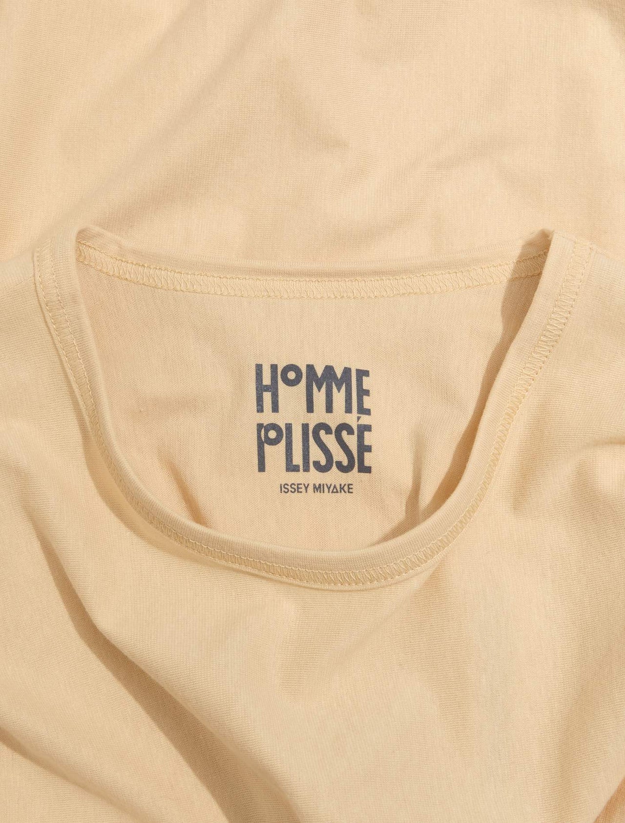 Long Sleeved Top in Beige