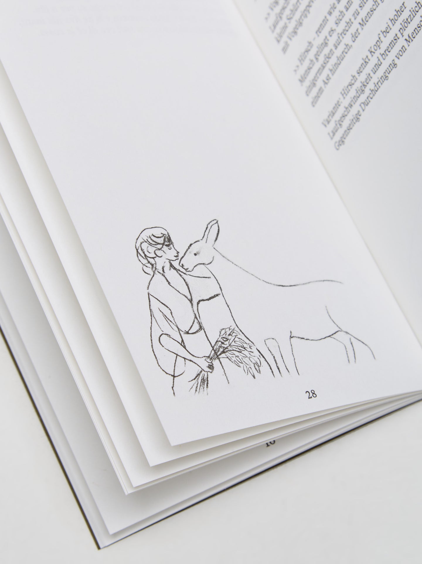 Lin May Saeed – Fables
