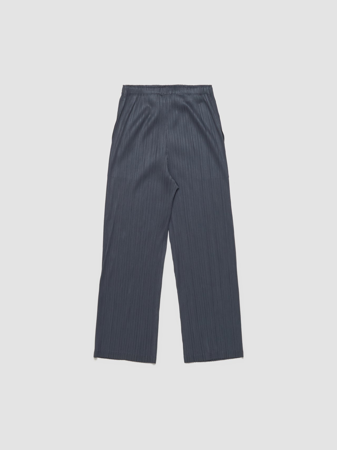 Pleated Pants in Steel Grey