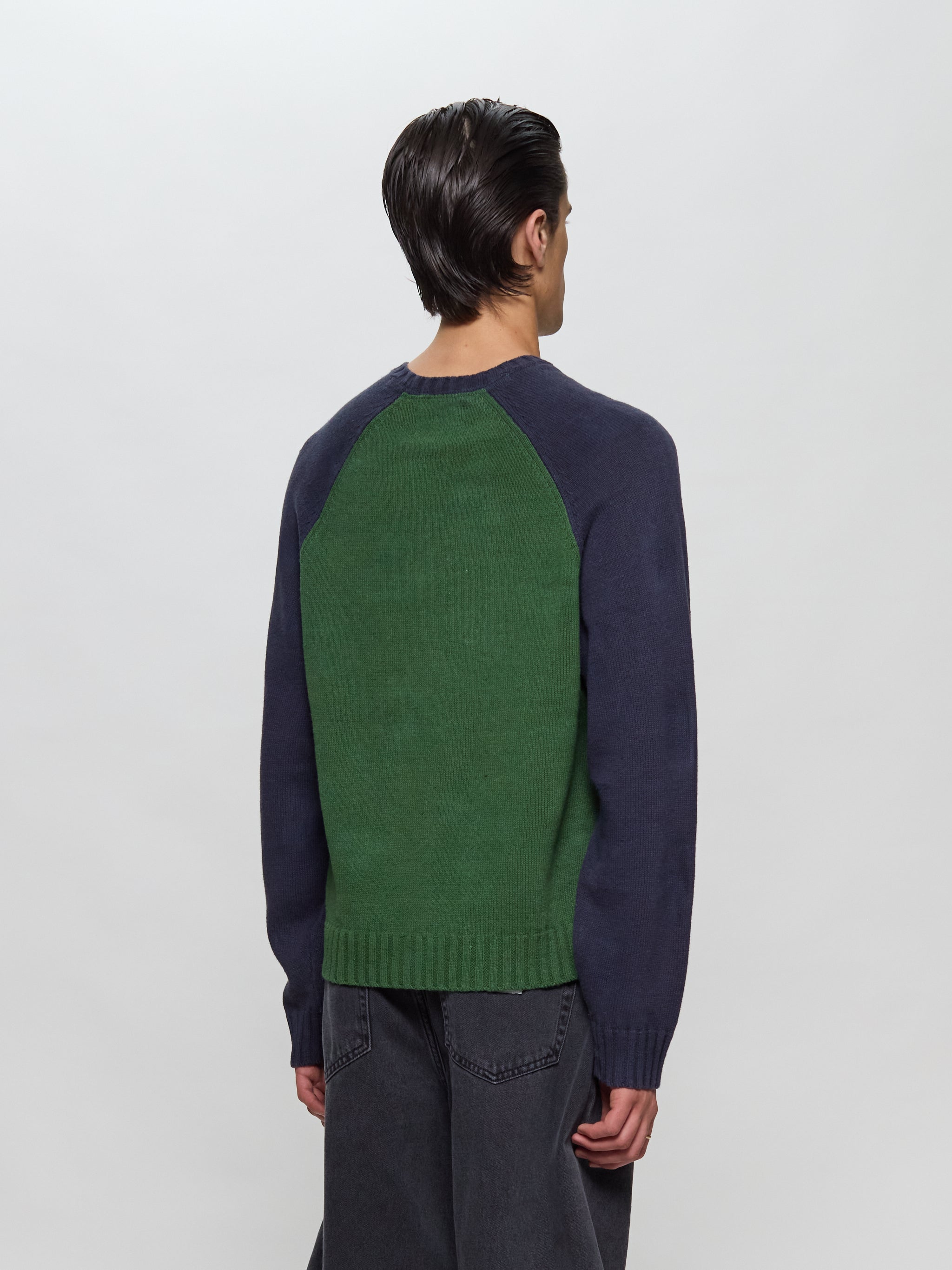 Colorblocked Raglan Crew Sweatshirt in Green
