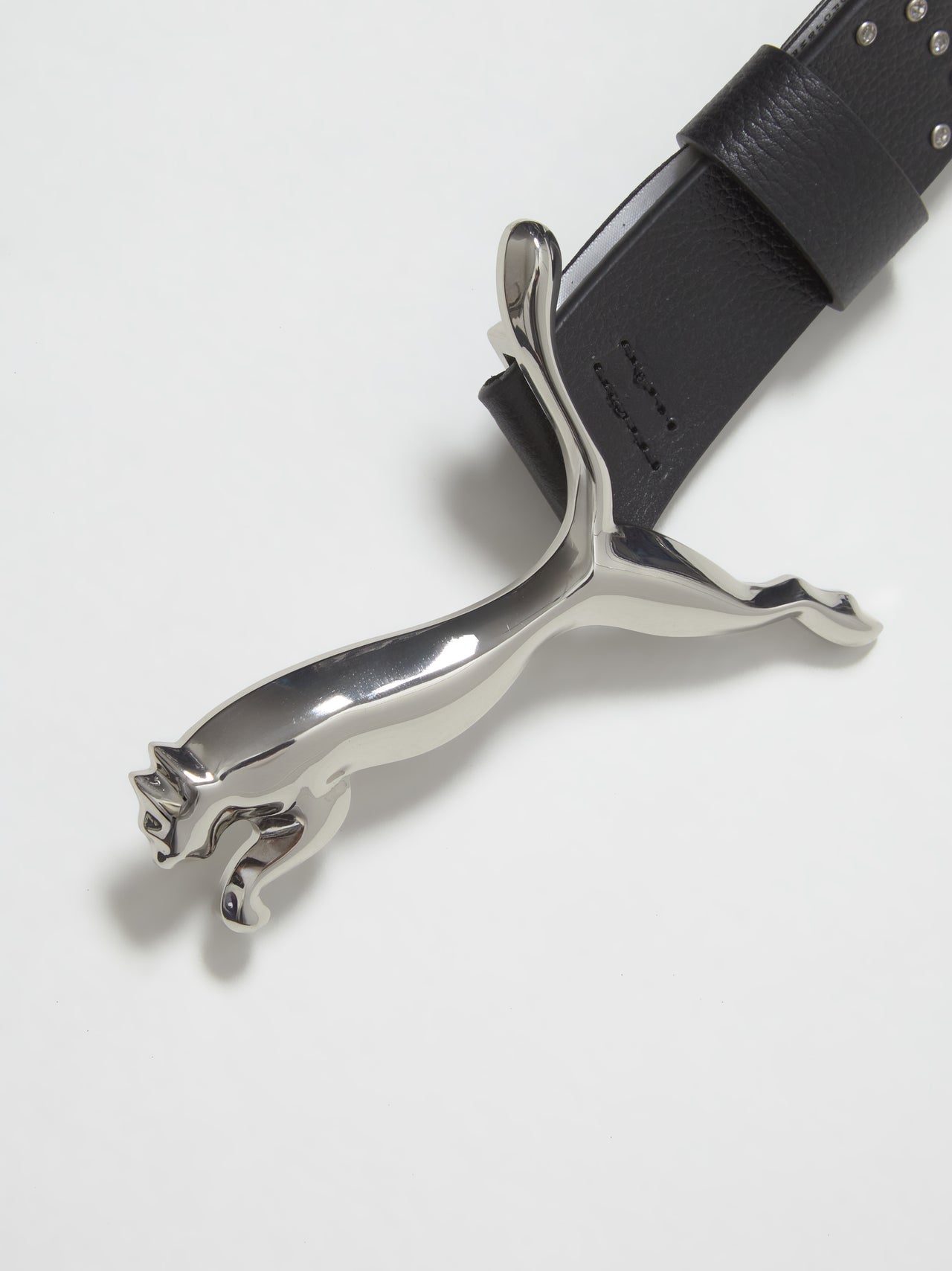 x A$AP ROCKY Cat Belt in Black