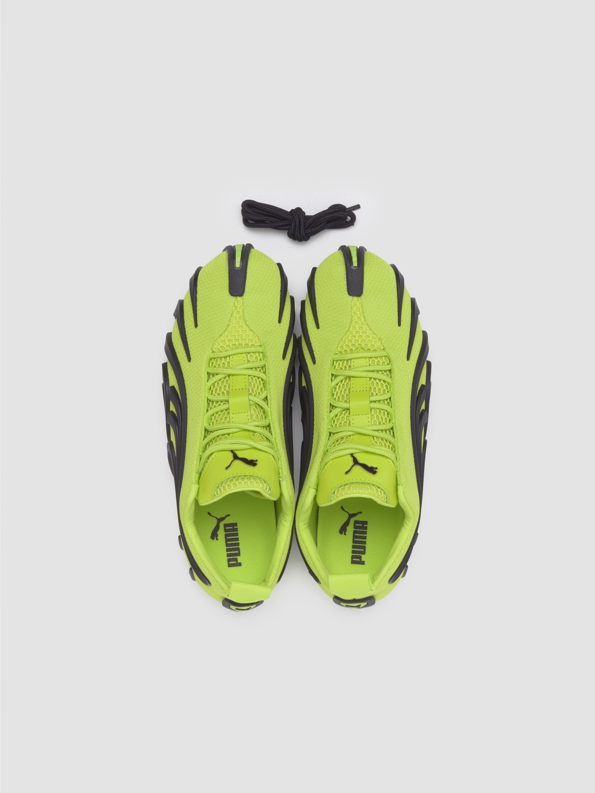 Talon OG Sneaker in Lime Pow & Black