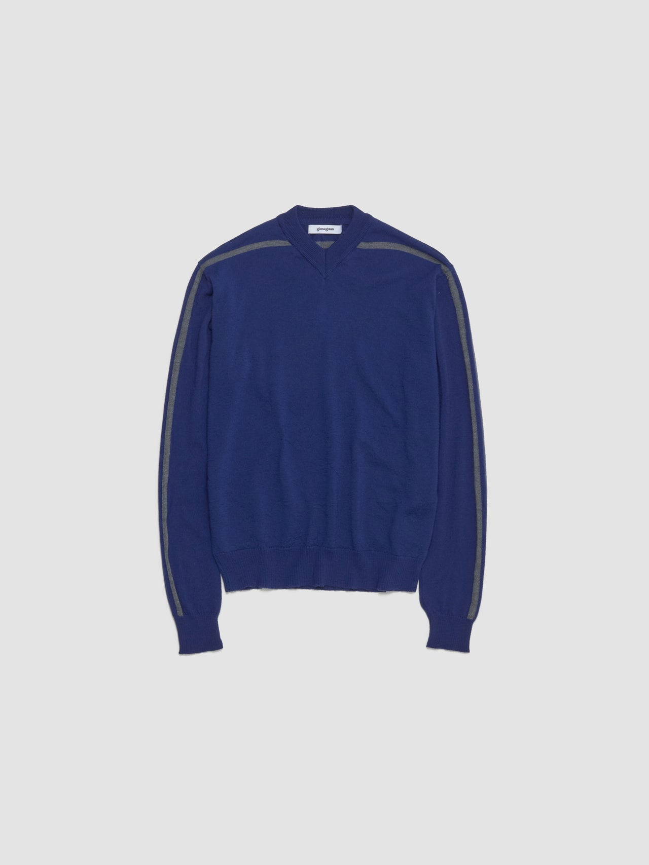 Sport Jumper in Blue
