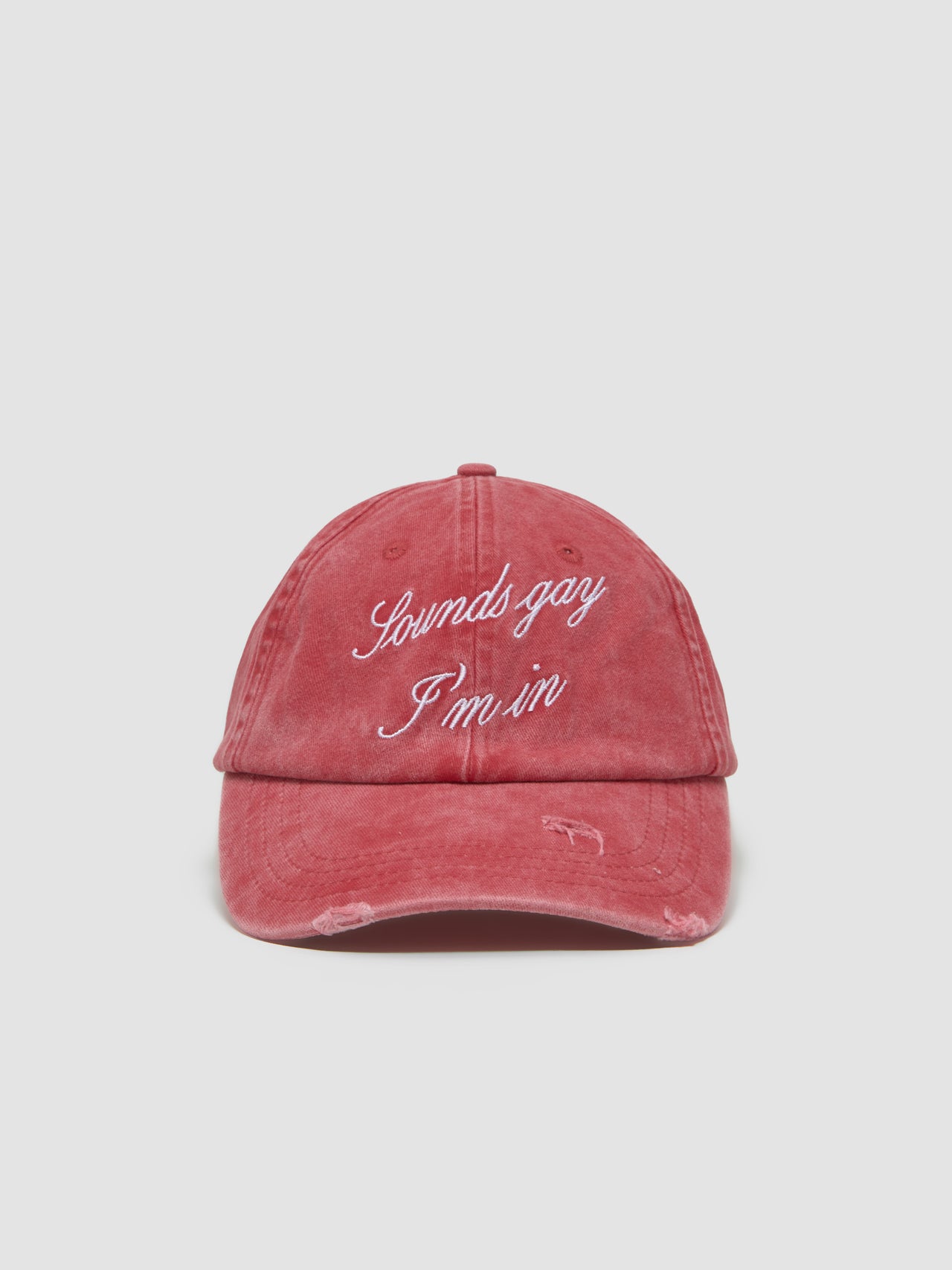 Did You Say Gay? Cap in Off-Red