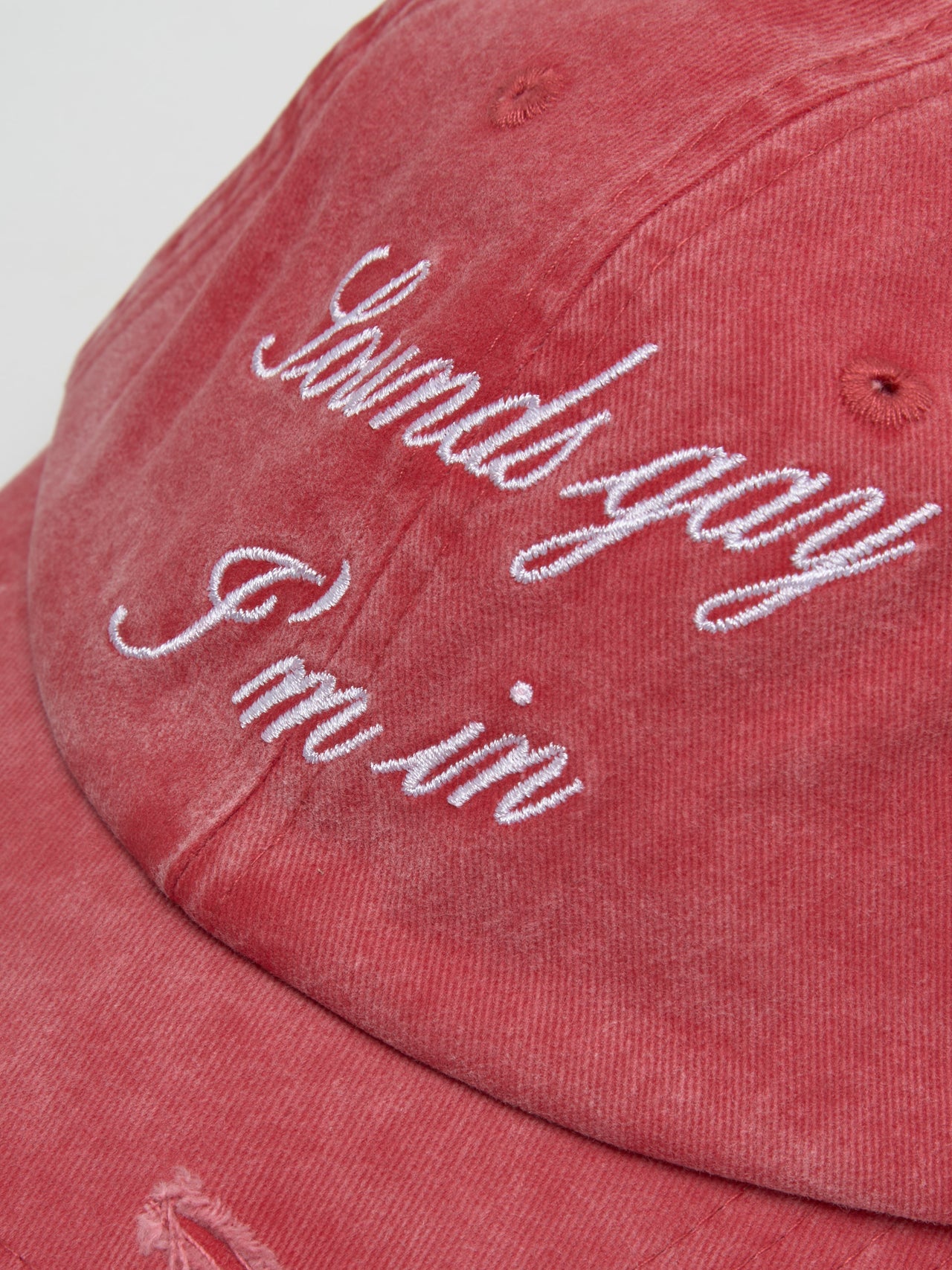 Did You Say Gay? Cap in Off-Red