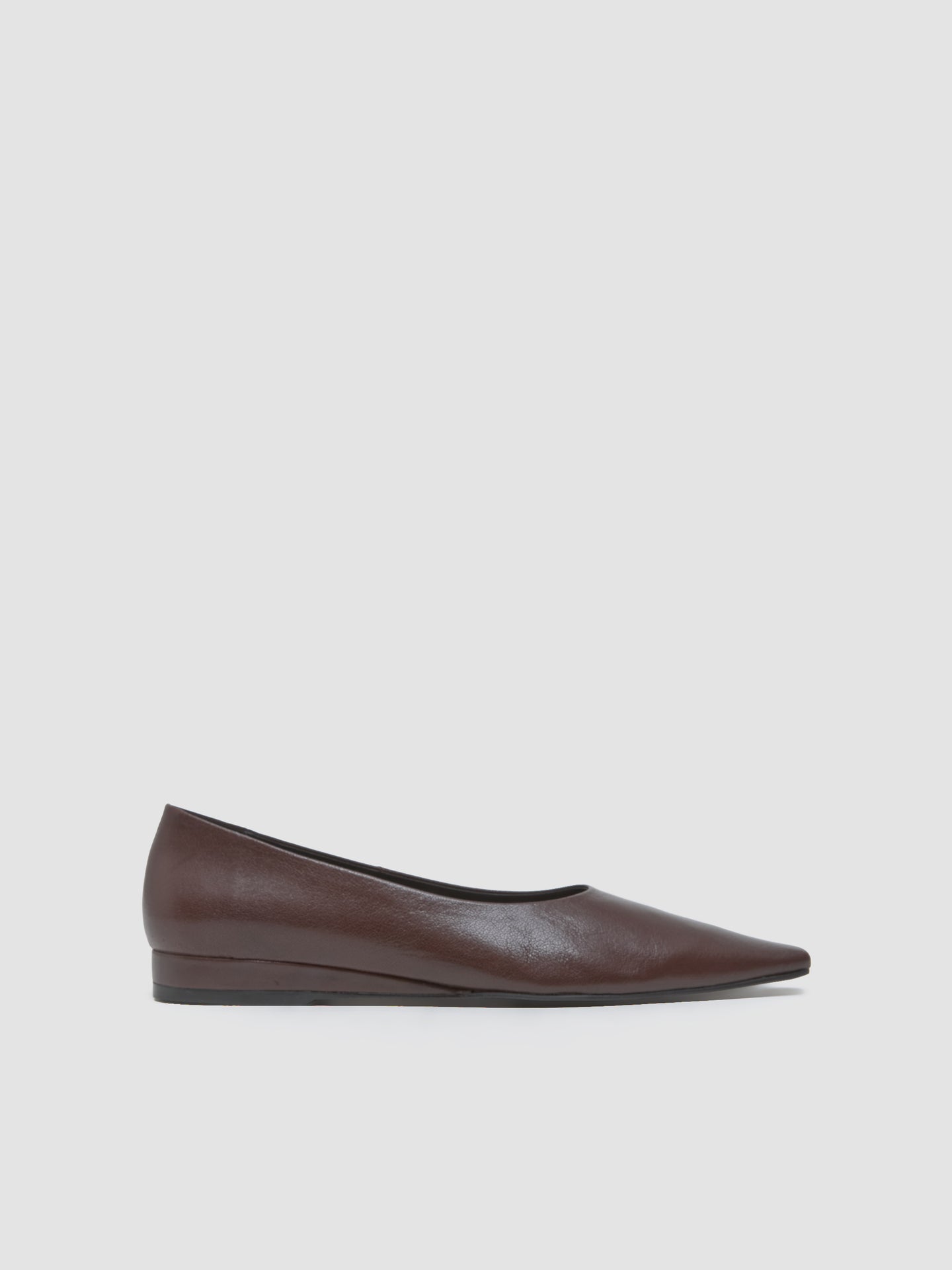 Luella Shoes in Brown