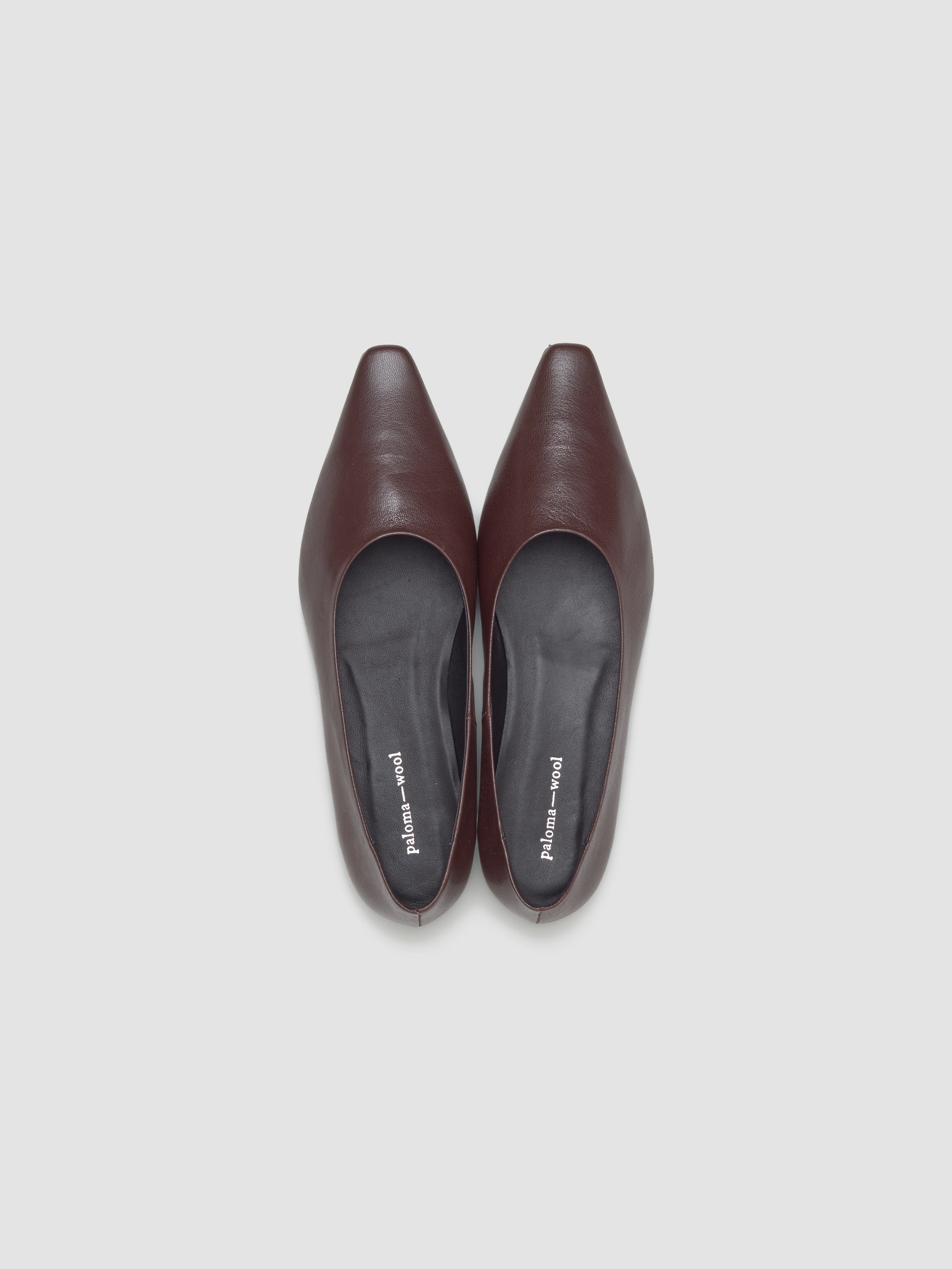 Luella Shoes in Brown