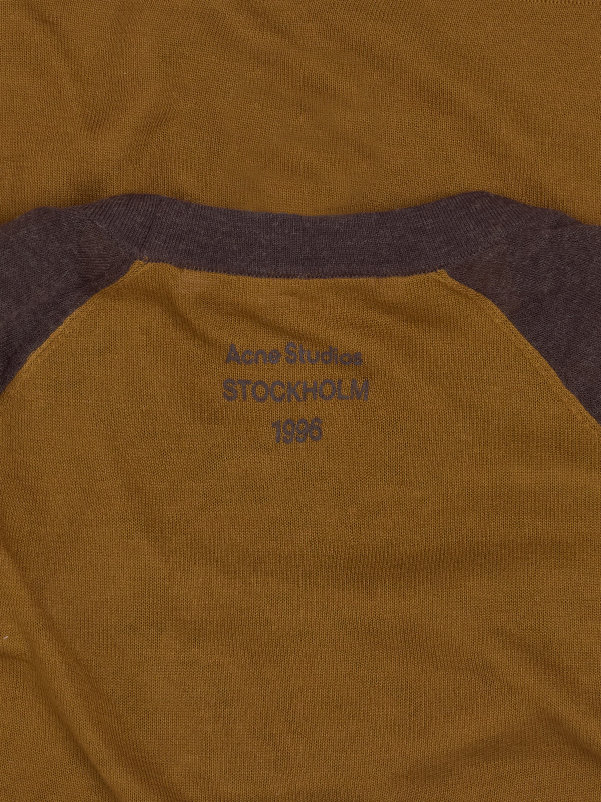 Long-Sleeved Top in Camel & Brown