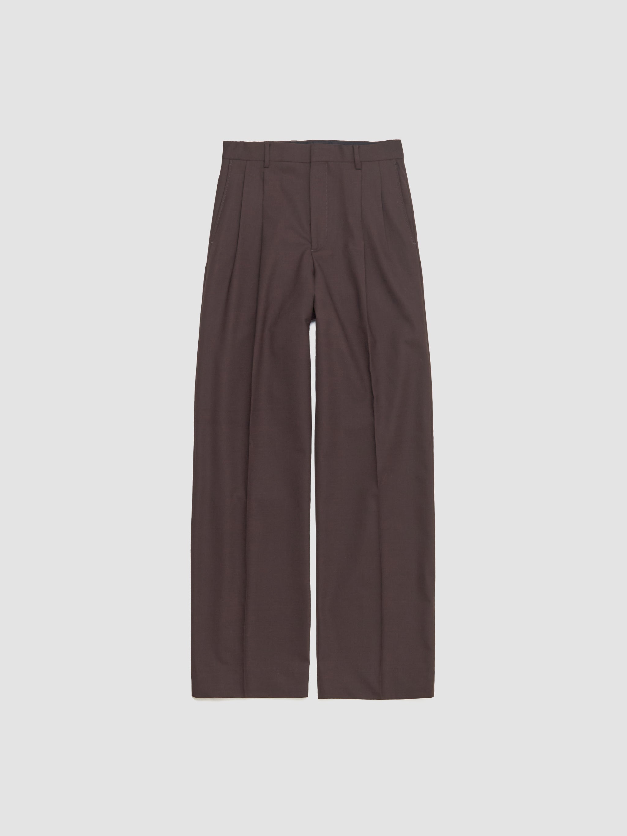 Wide Pleated Trousers in Brown
