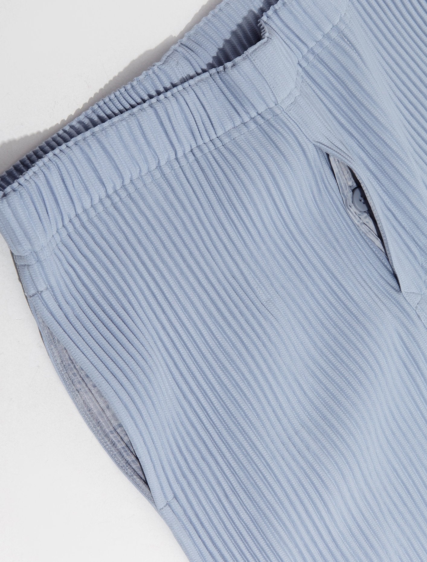 Pleated Pants in Light Blue