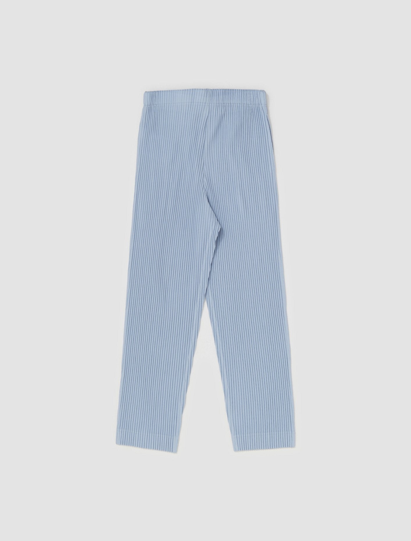 Pleated Pants in Light Blue