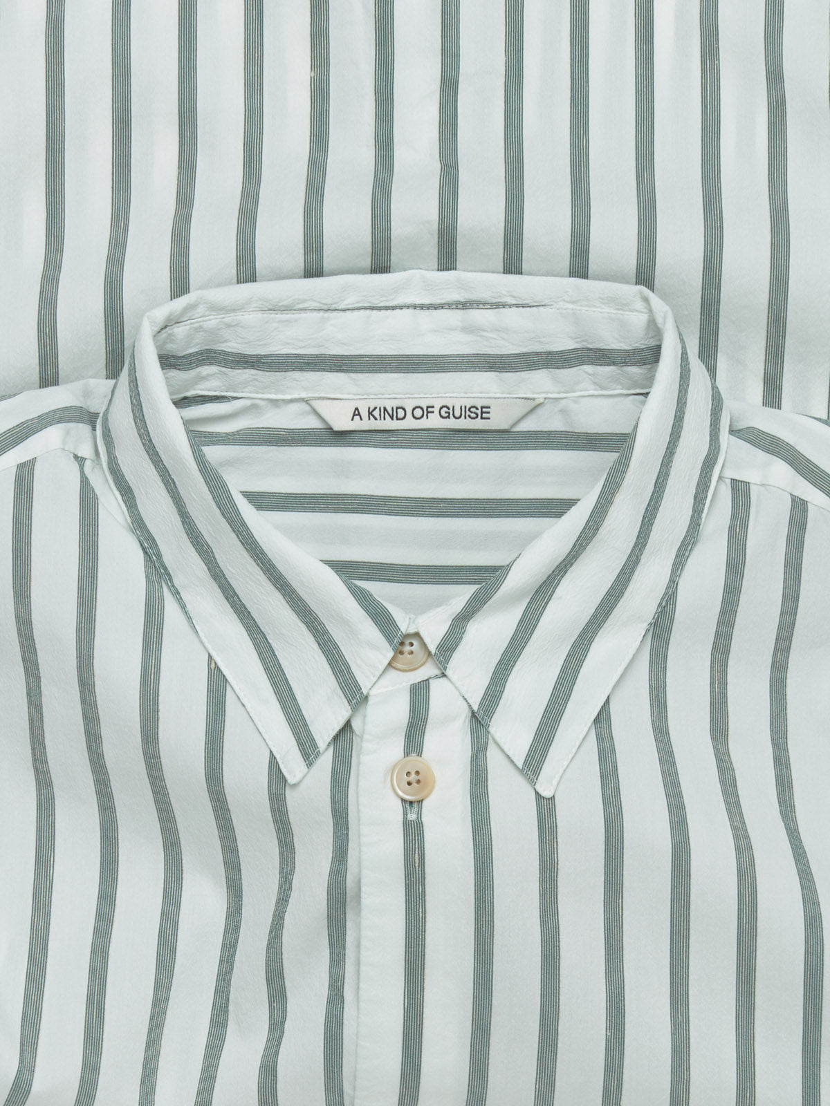 Gusto Shirt in Aloe Stripe