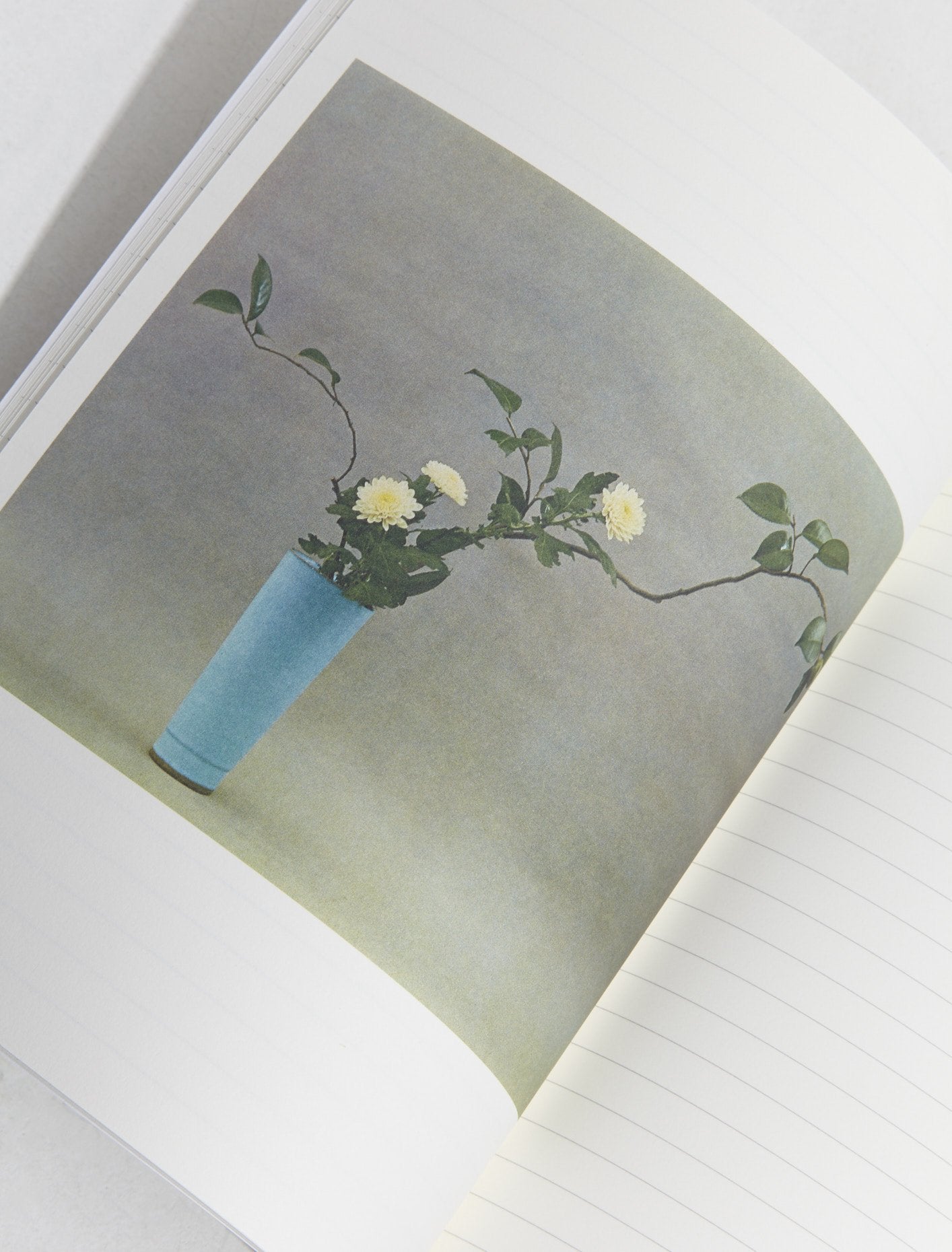 Ikebana - An Idea Book