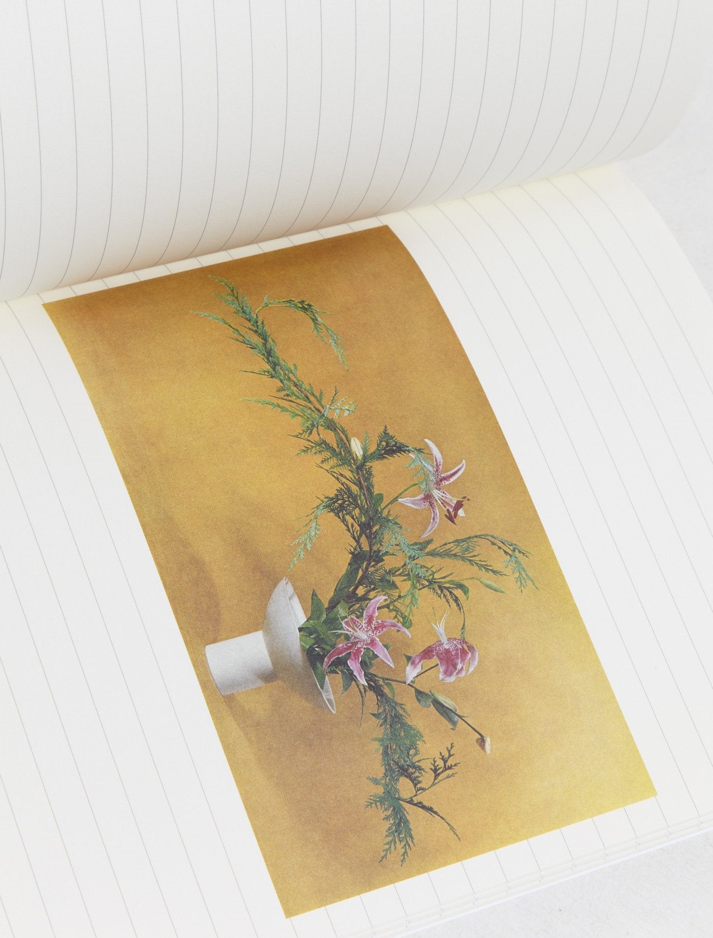 Ikebana - An Idea Book