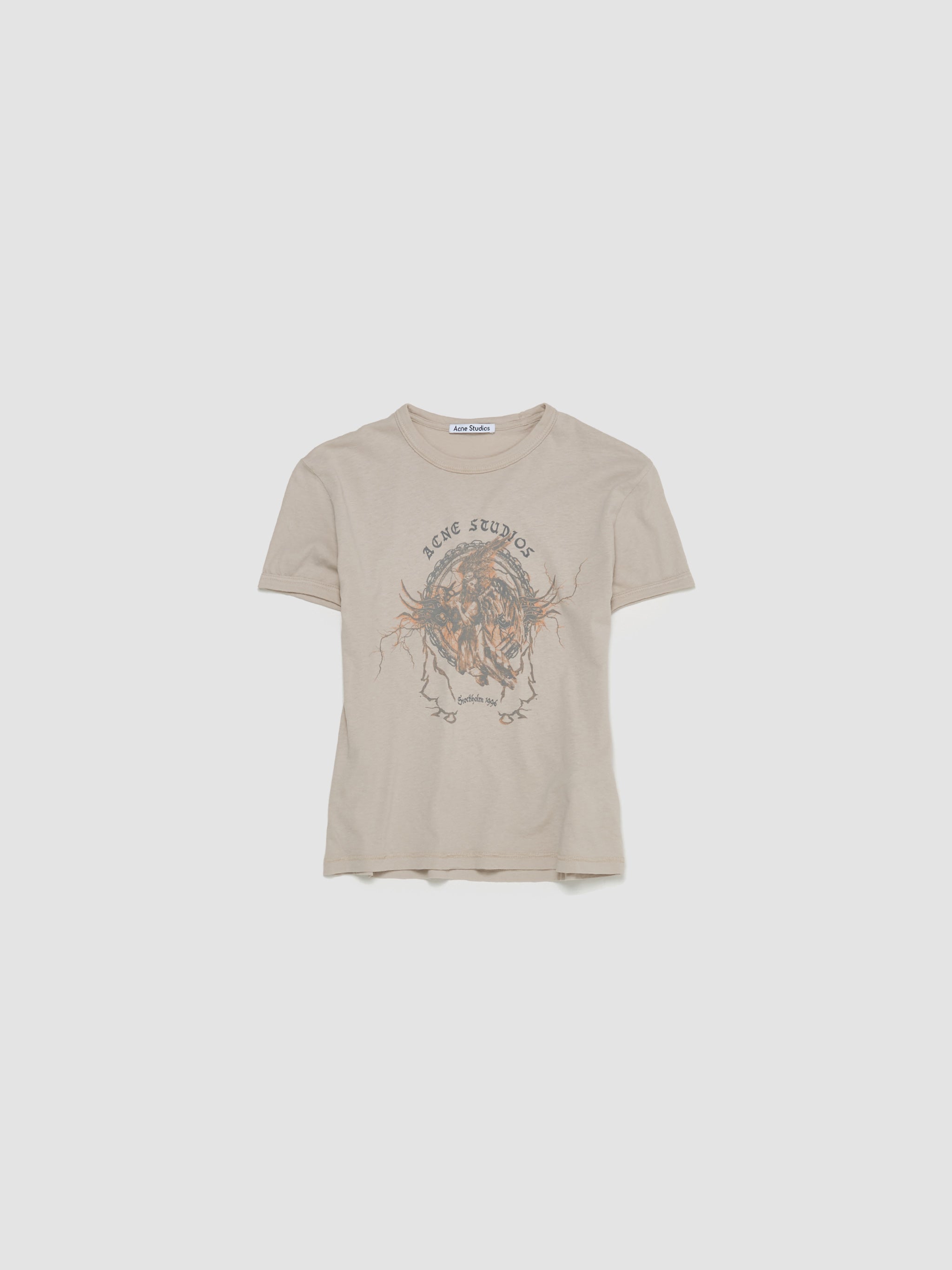 Printed T-Shirt in Faded Grey