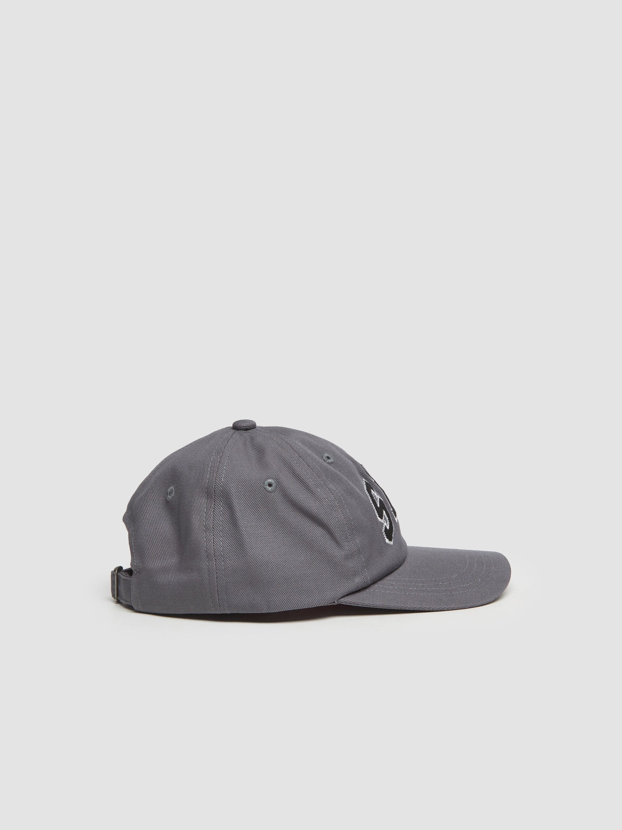 Sex Wins Cap in Grey