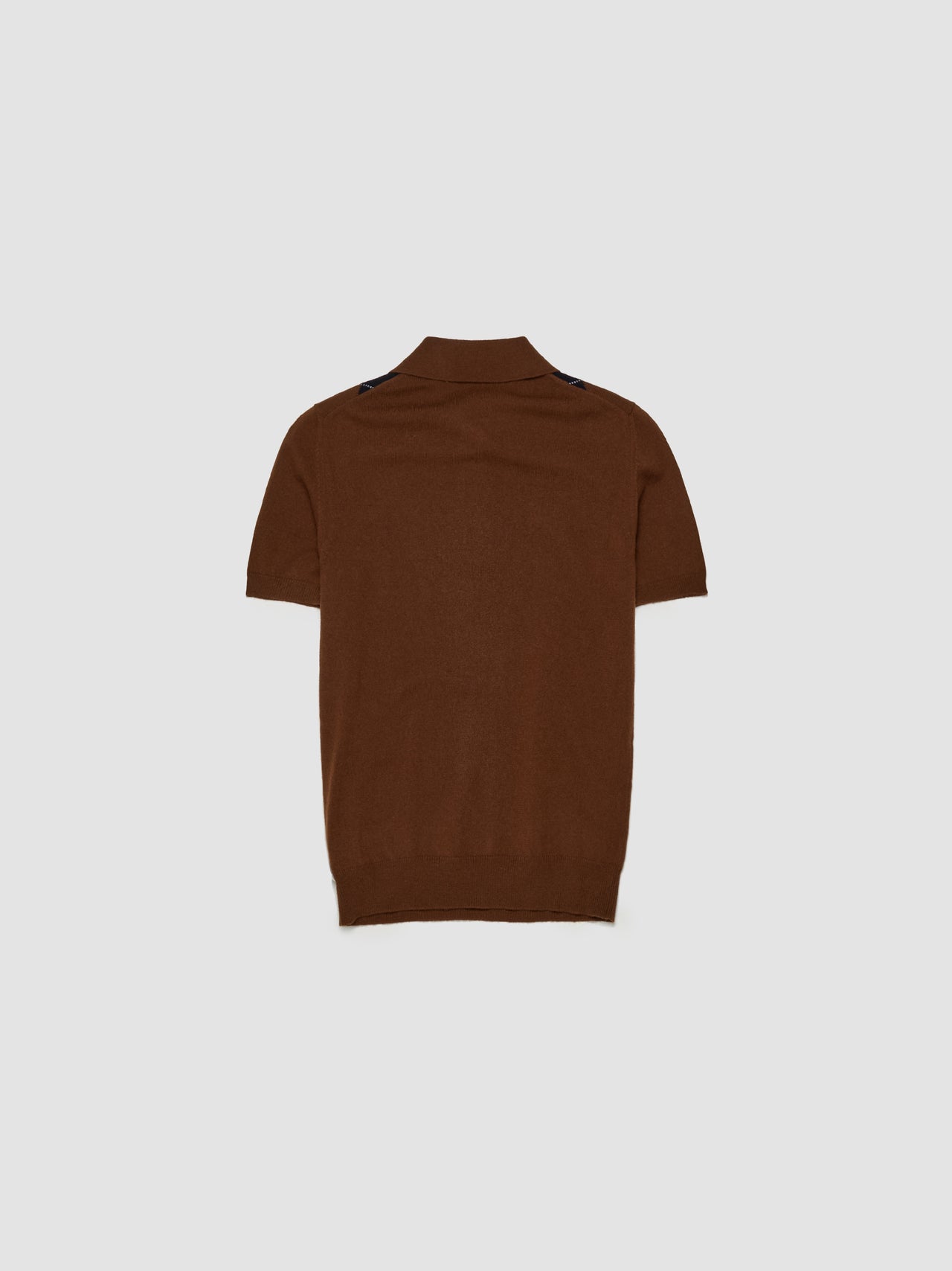 Cashmere Knit Polo Shirt in Tobacco