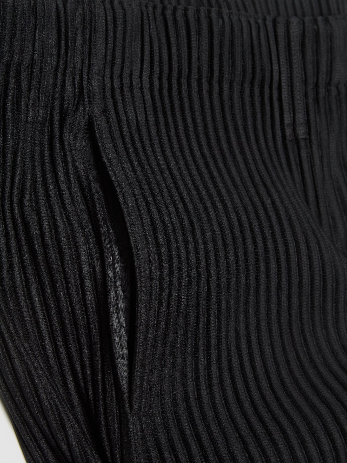 Pleated Slim Fit Pants in Black