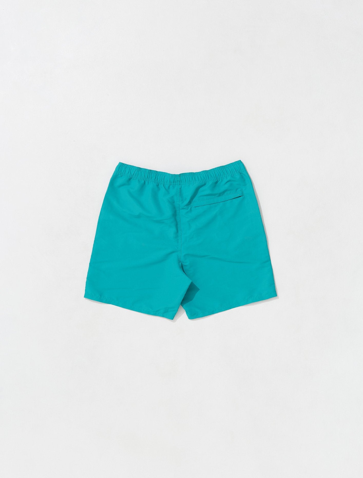 Island Swimming Shorts in Caribbean