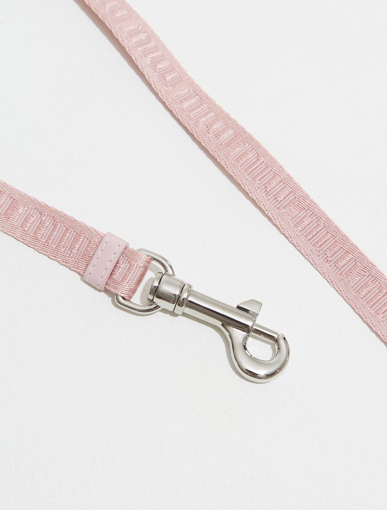 Woven Tape Leash in Alabaster