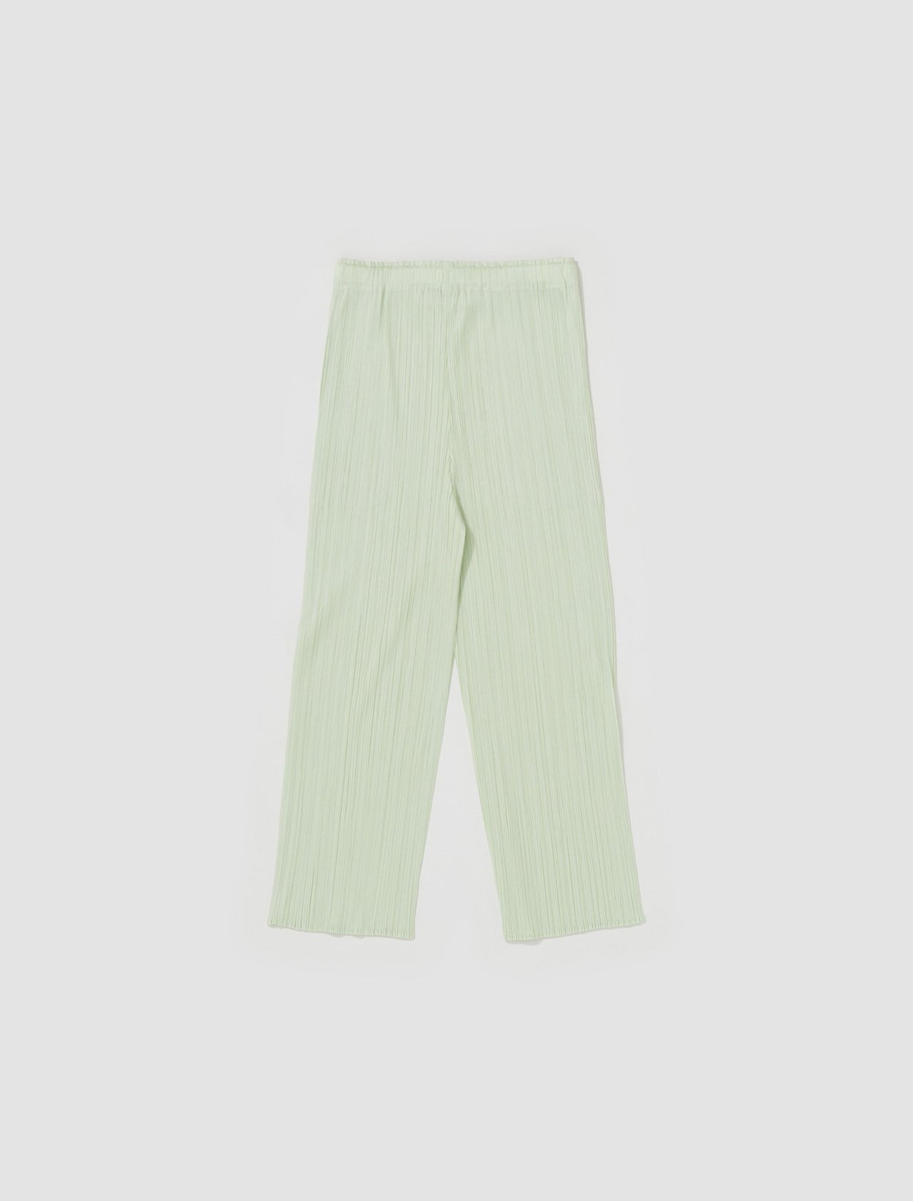 Pleated Trousers in Pastel Green