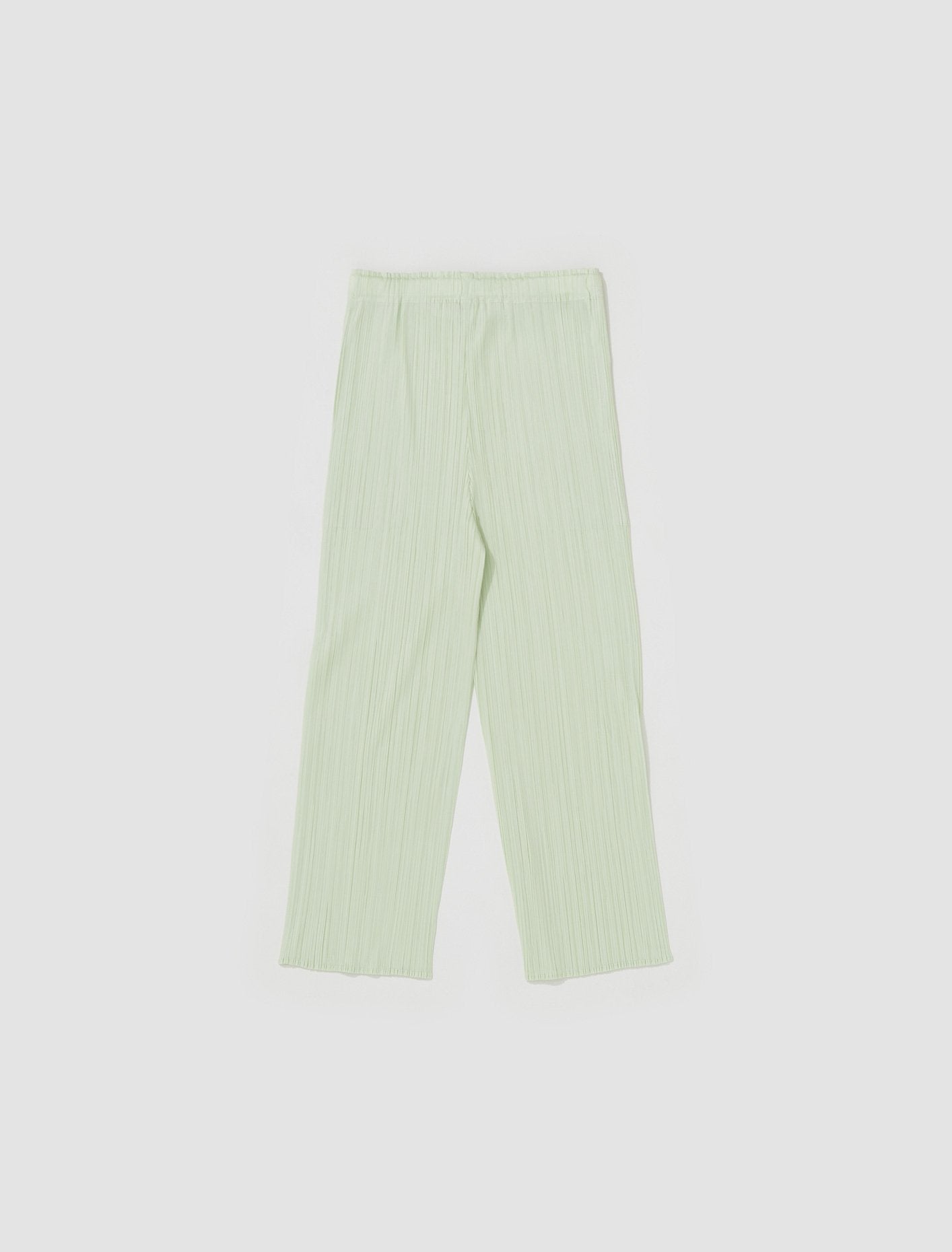 Pleated Trousers in Pastel Green