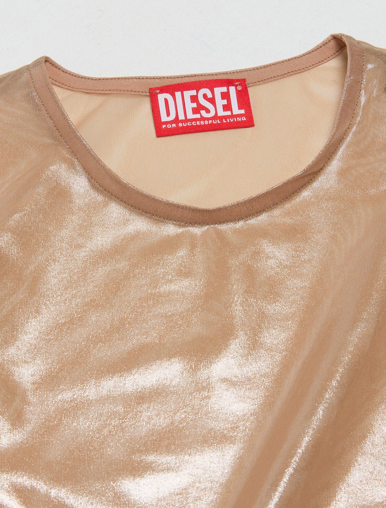 Semi-Sheer Long Sleeved Top in Beige