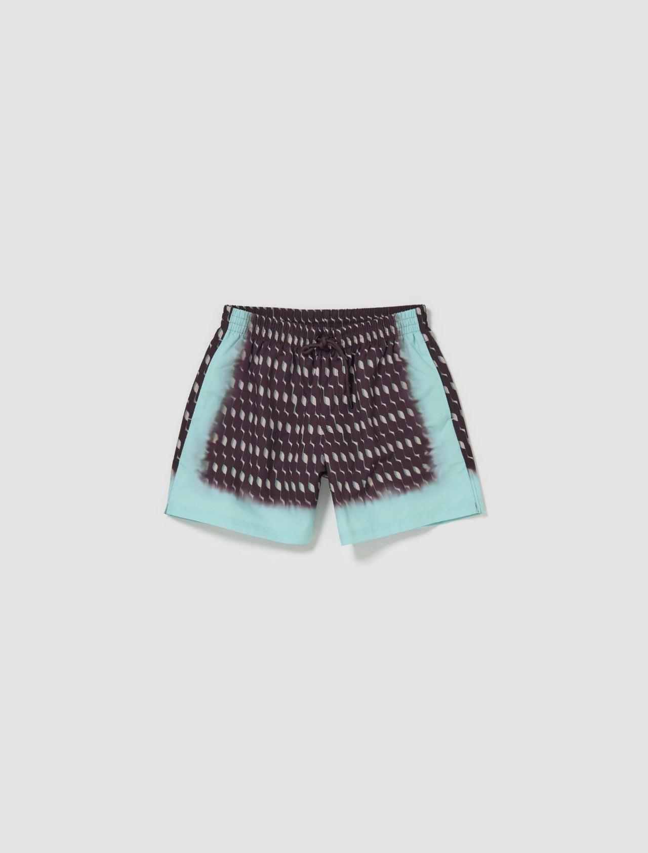 Phibbs Swim Shorts in Brown