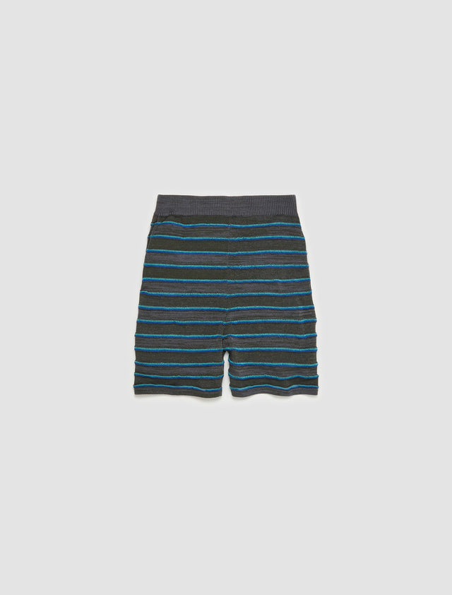 Lines Shorts in Blue