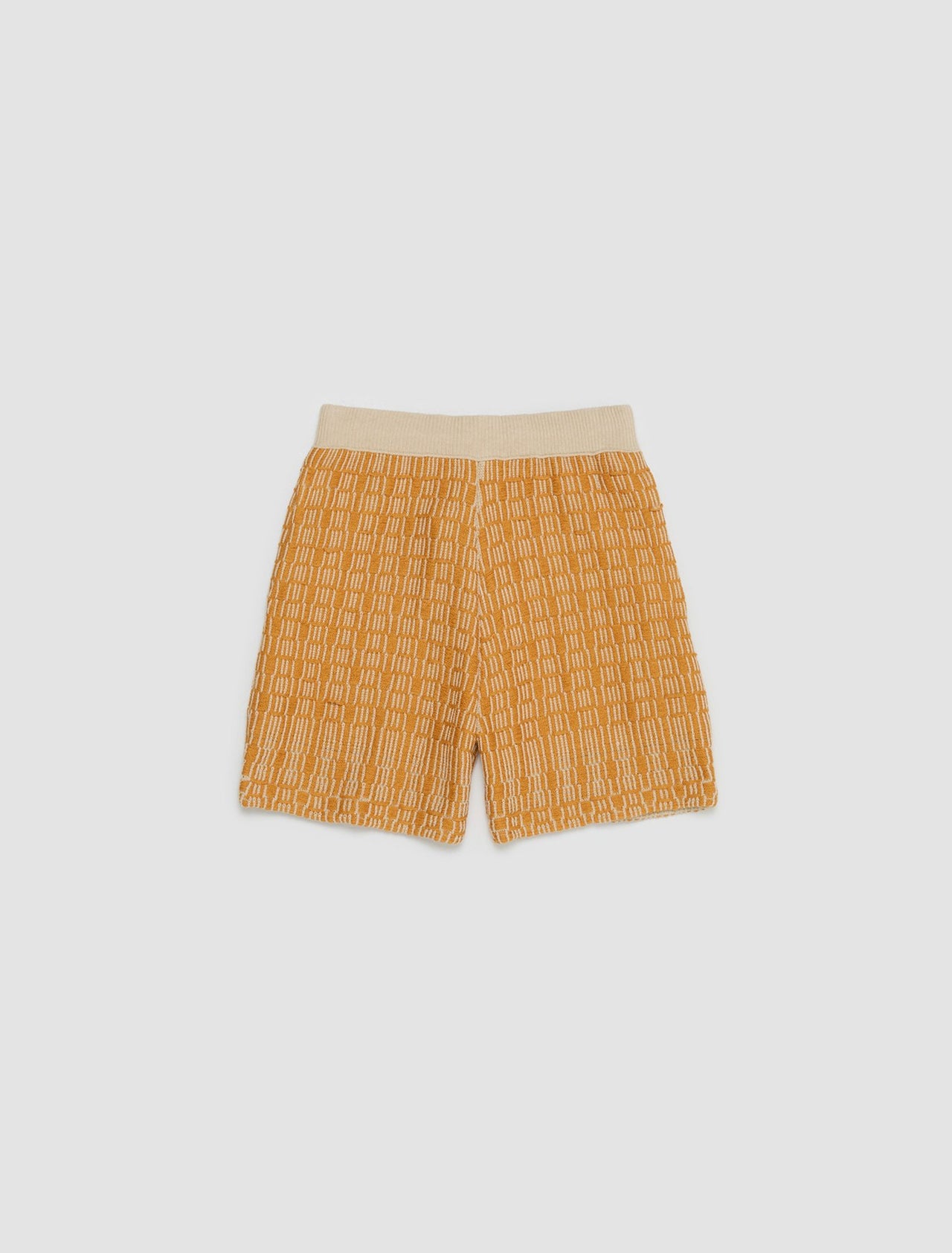 Tick Shorts in Citrus