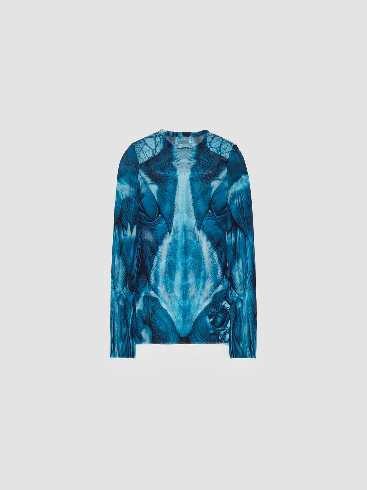 Ecorche Mesh Printed Longsleeve Top in Blue & White