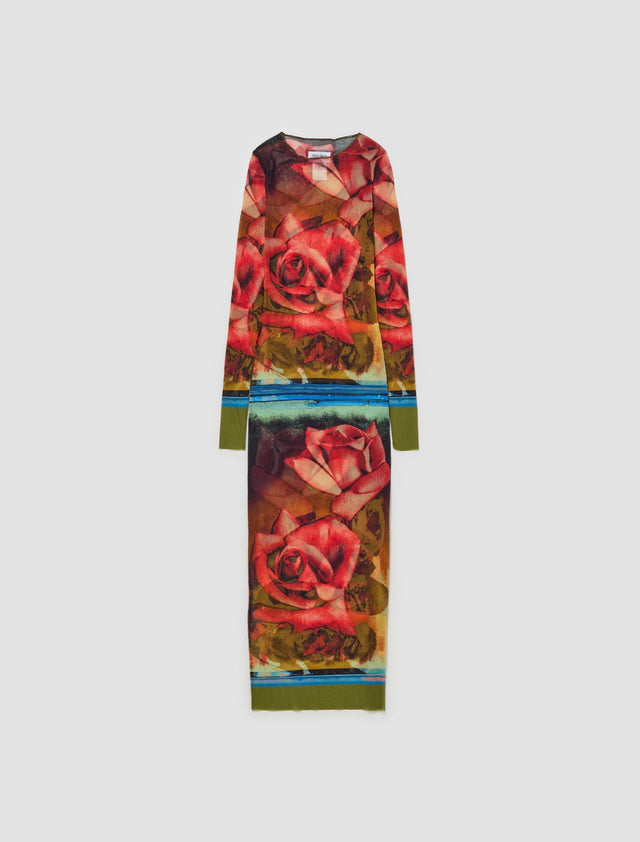 Mesh Long Sleeve Printed Roses Dress in Multicolor