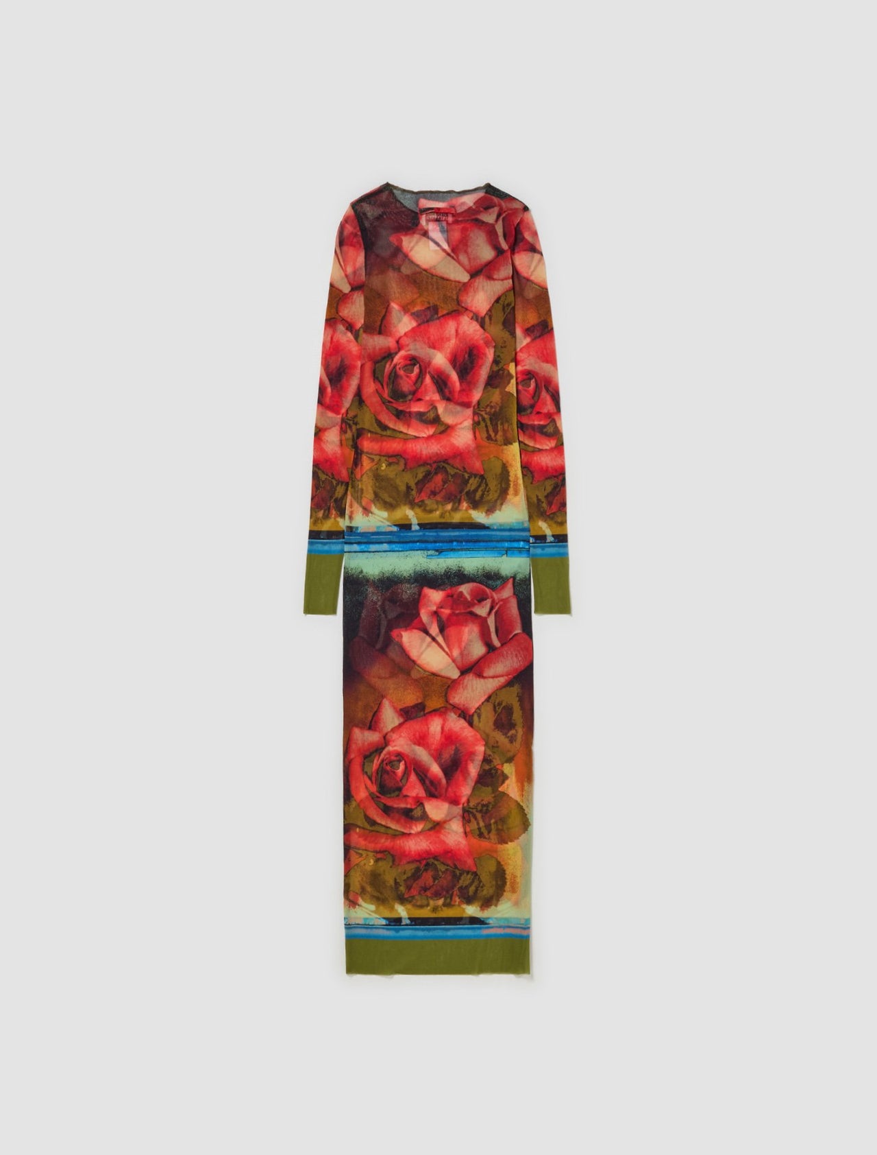 Mesh Long Sleeve Printed Roses Dress in Multicolor