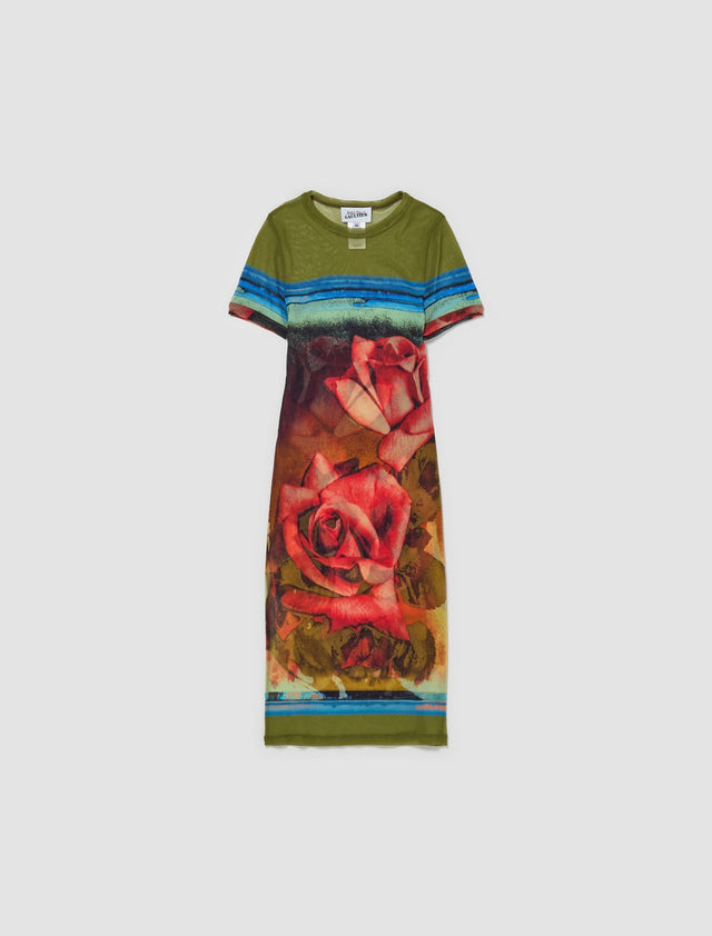 Mesh Short Sleeve Printed Roses Dress in Multicolor
