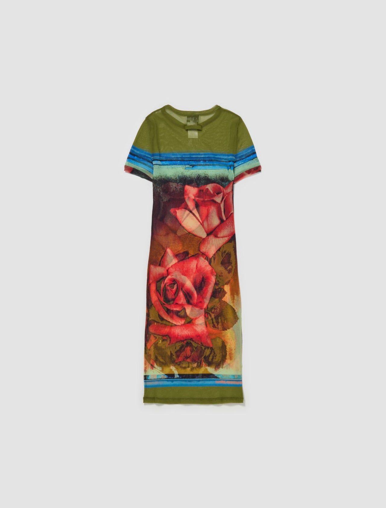 Mesh Short Sleeve Printed Roses Dress in Multicolor