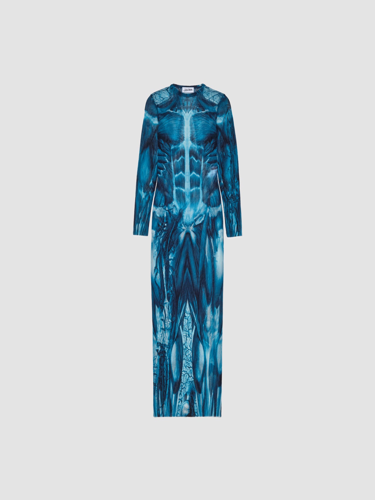 Ecorche Mesh Printed Long Dress in Blue & White