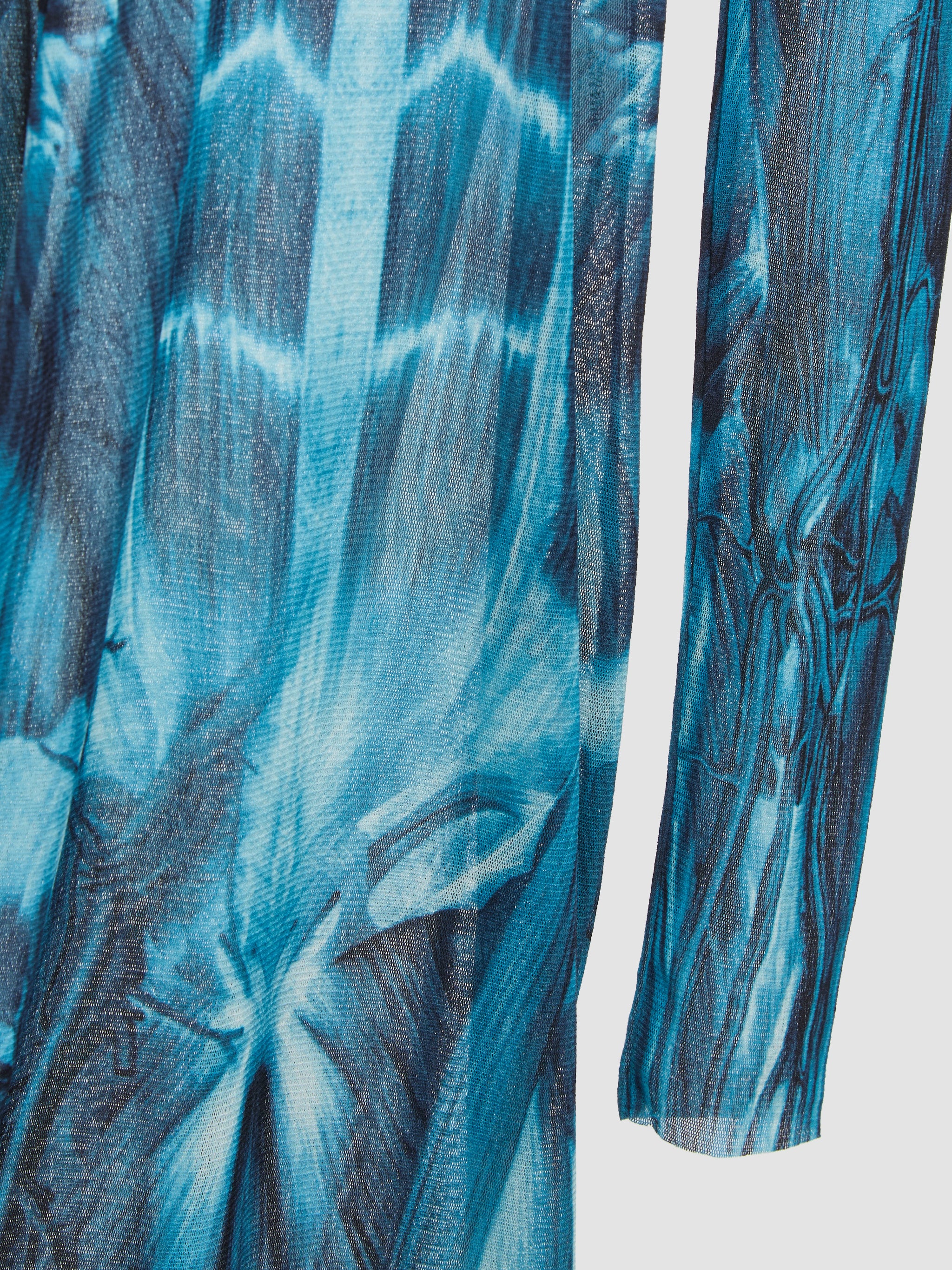 Ecorche Mesh Printed Long Dress in Blue & White