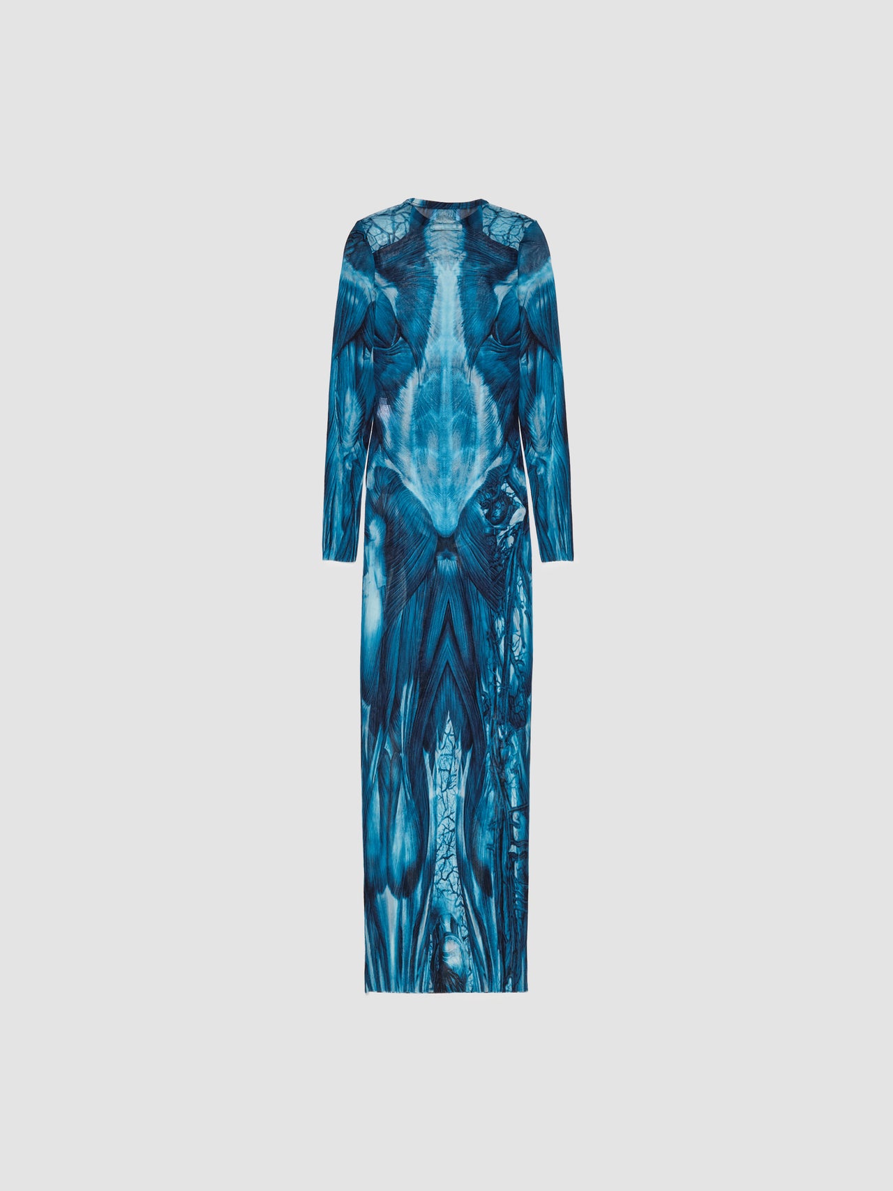 Ecorche Mesh Printed Long Dress in Blue & White