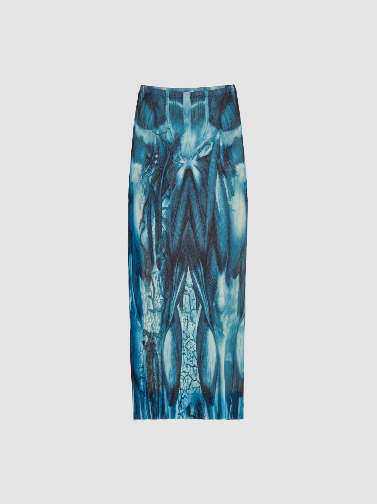 Ecorche Mesh Printed Long Skirt in Blue & White