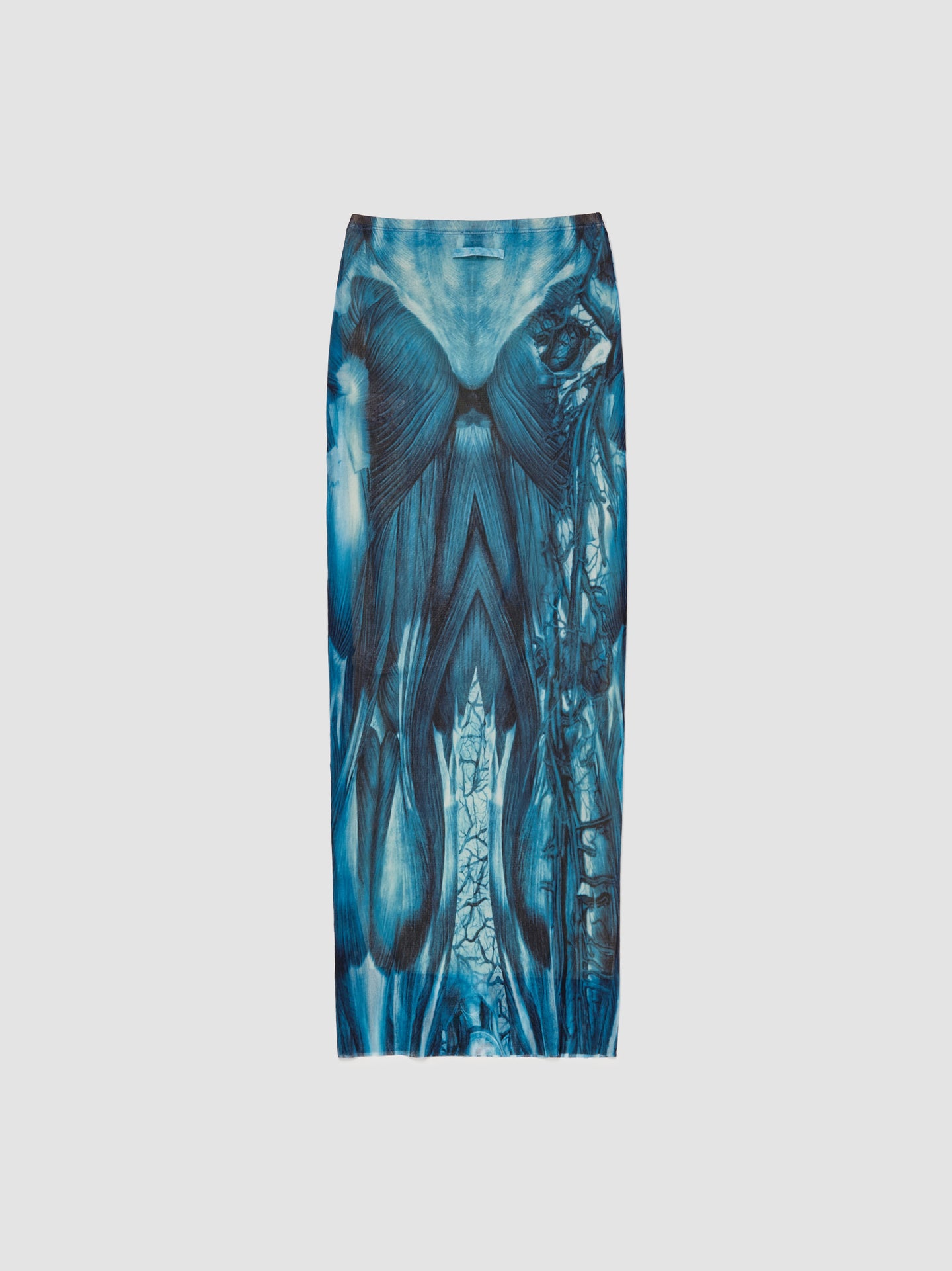 Ecorche Mesh Printed Long Skirt in Blue & White