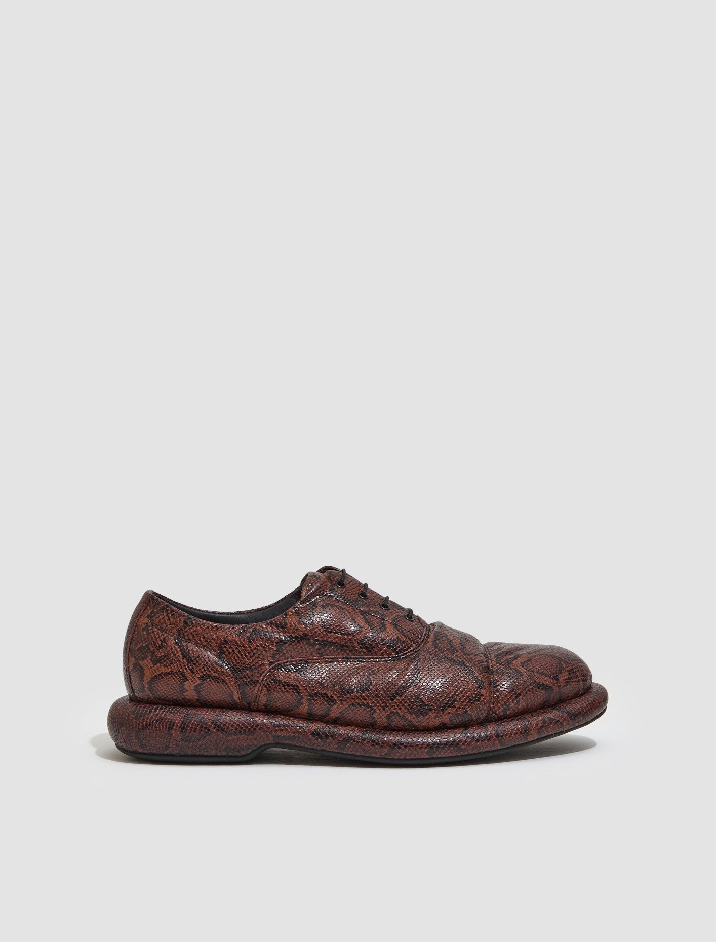 x Martine Rose Oxford Shoes in Brown Snake