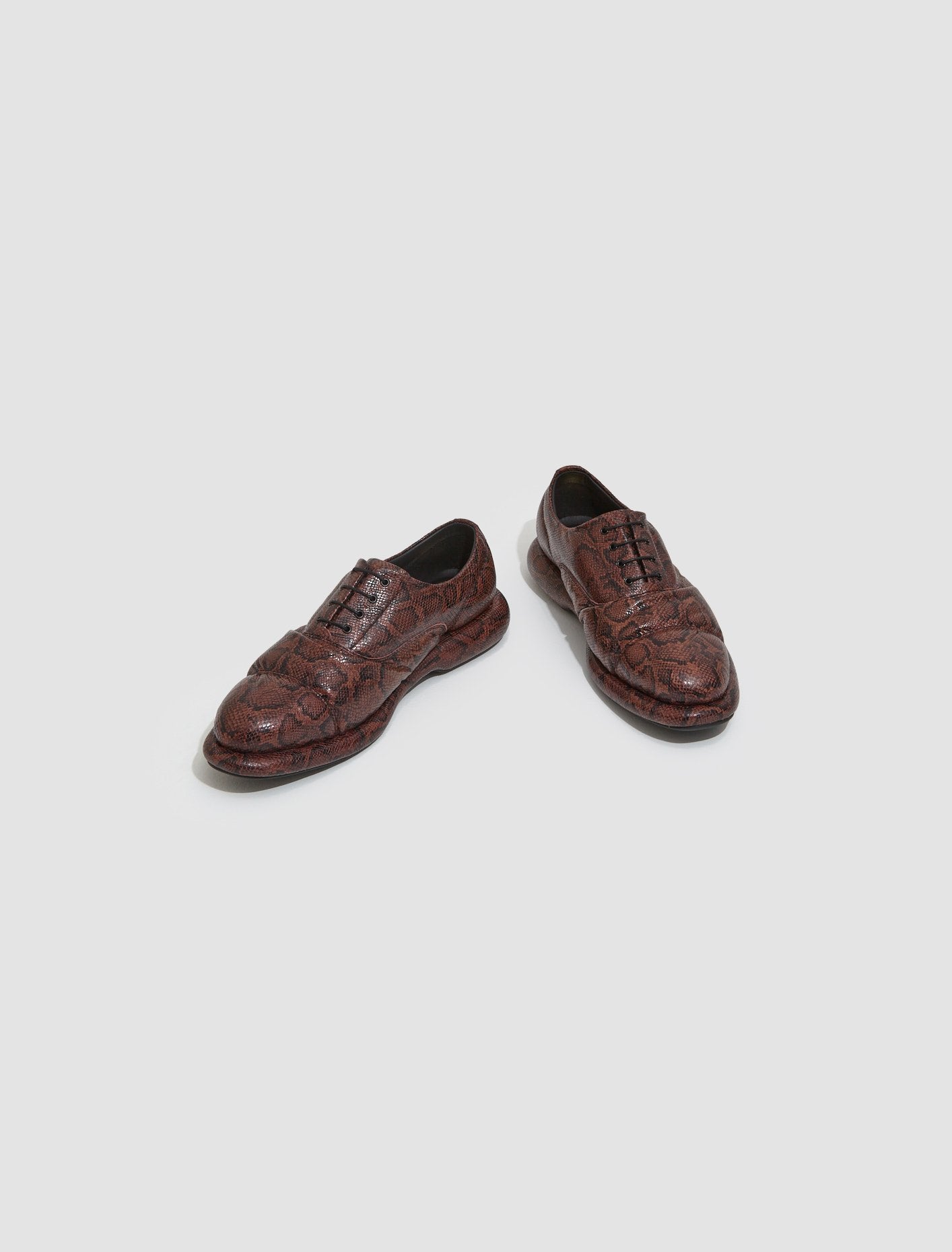 x Martine Rose Oxford Shoes in Brown Snake