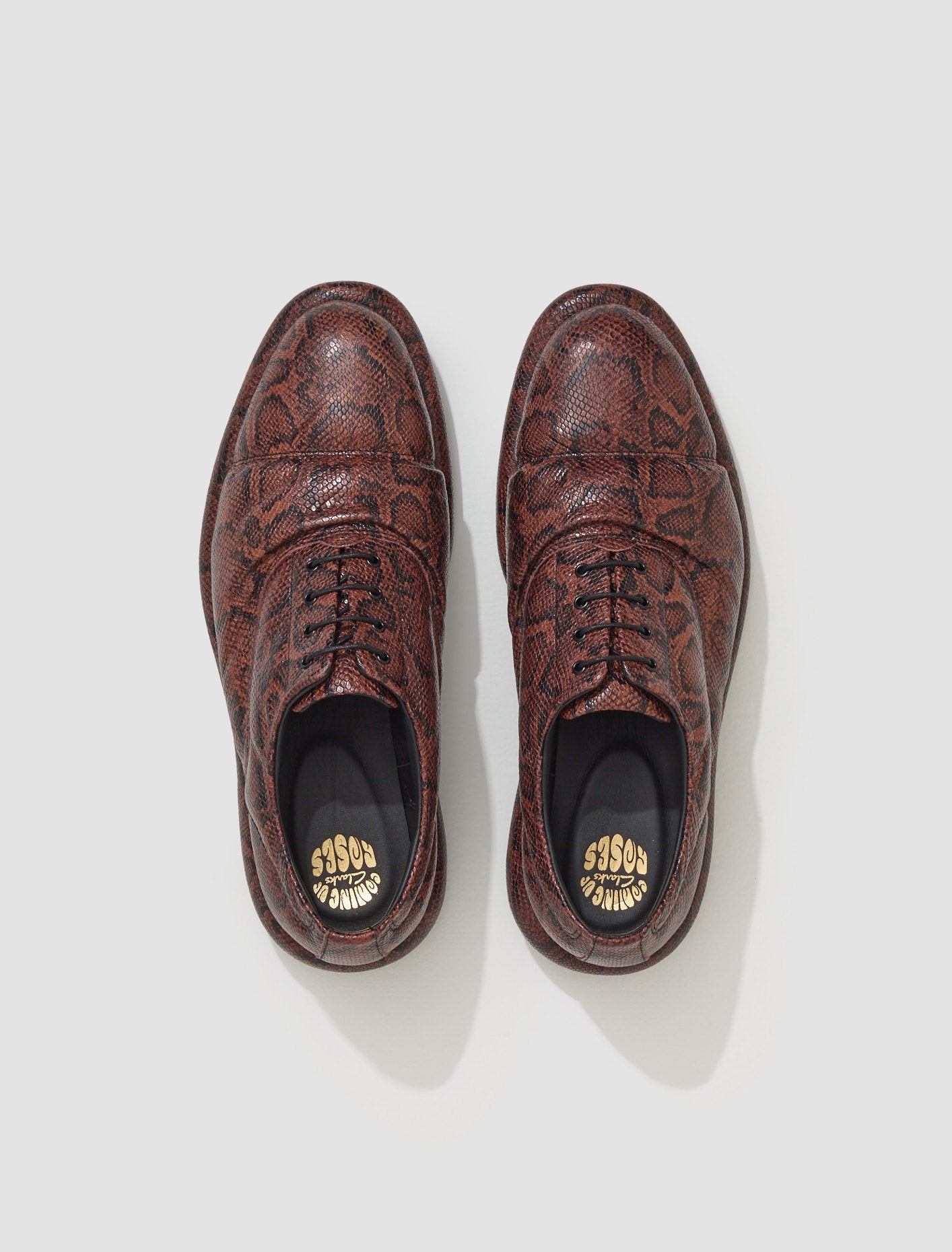 x Martine Rose Oxford Shoes in Brown Snake