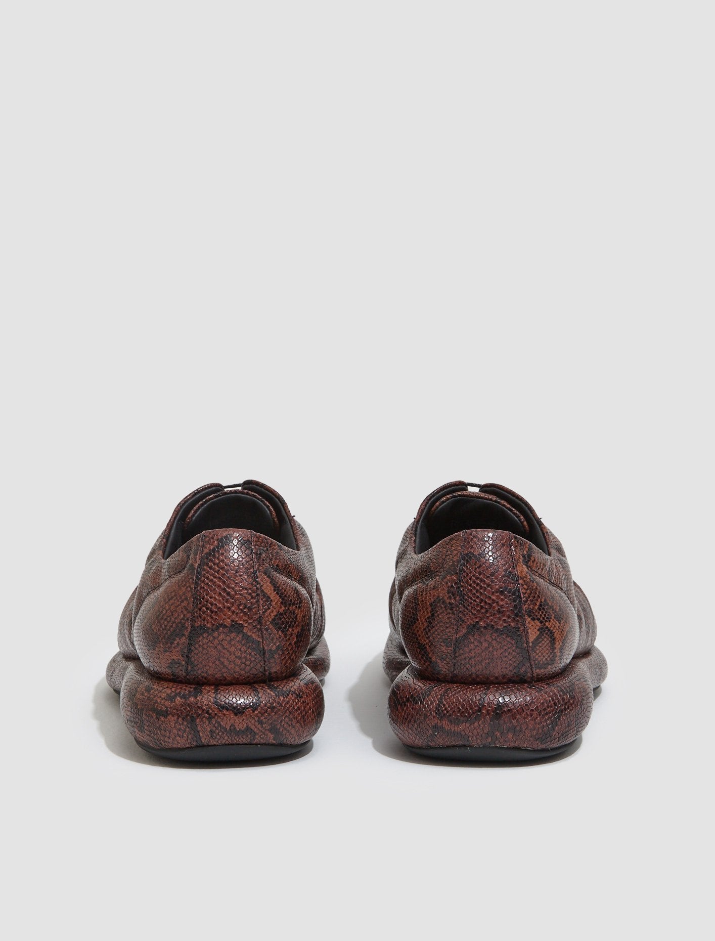 x Martine Rose Oxford Shoes in Brown Snake