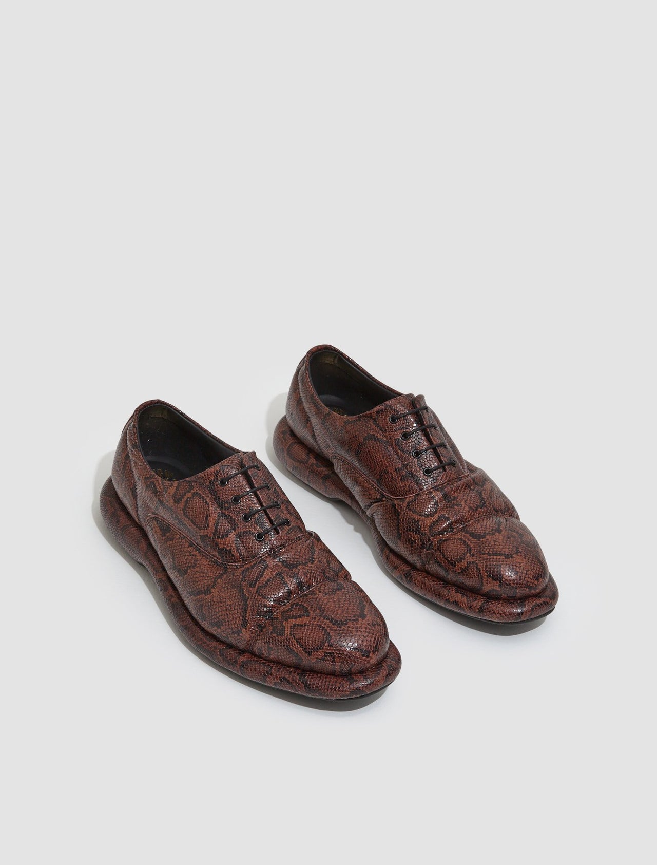 x Martine Rose Oxford Shoes in Brown Snake