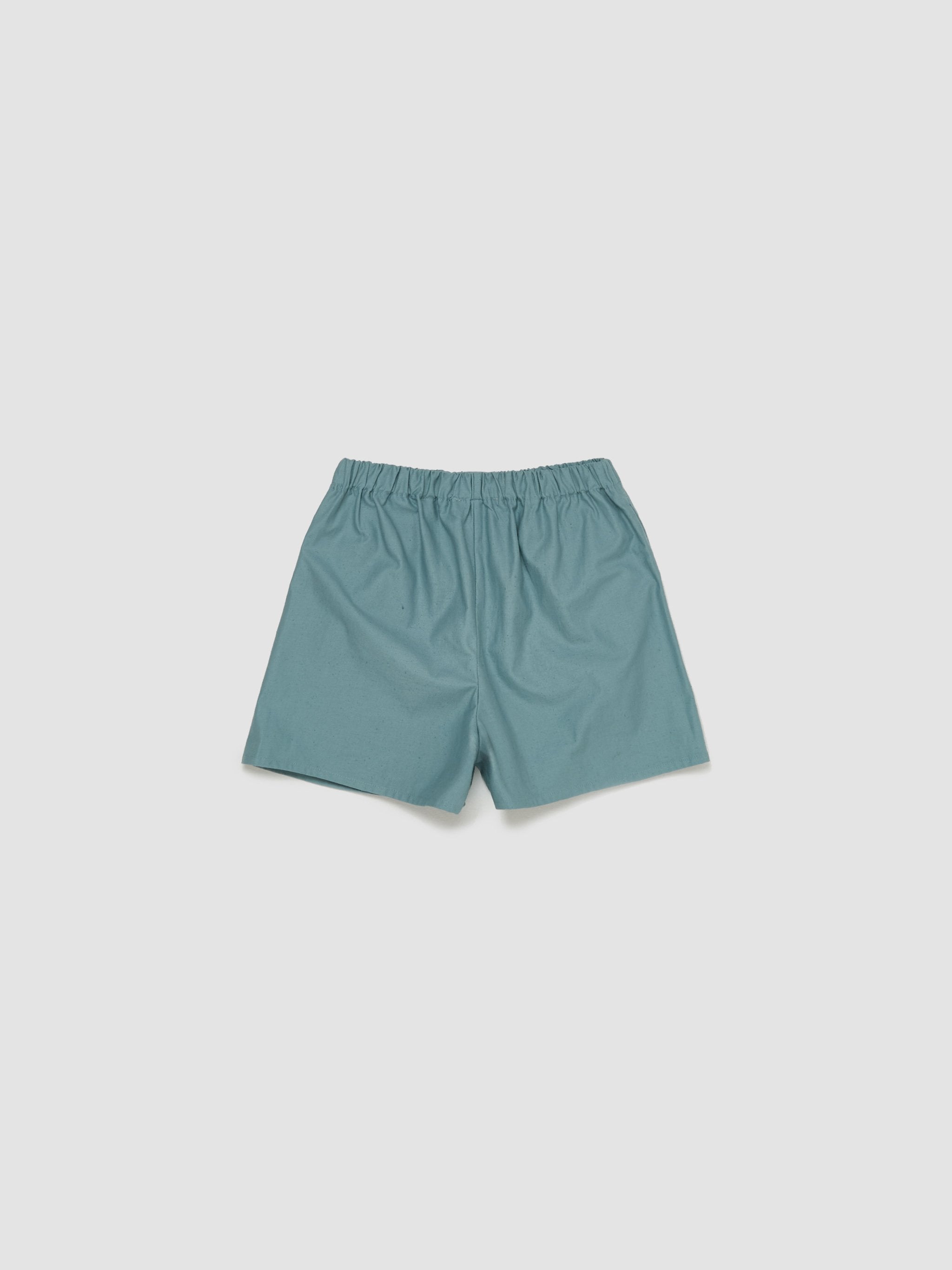 Boxer Shorts in Blue