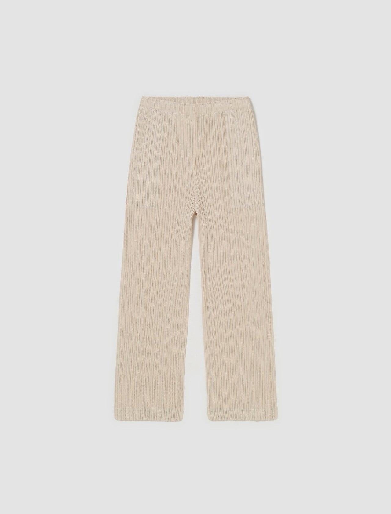 Pleated Straight Pants in Beige